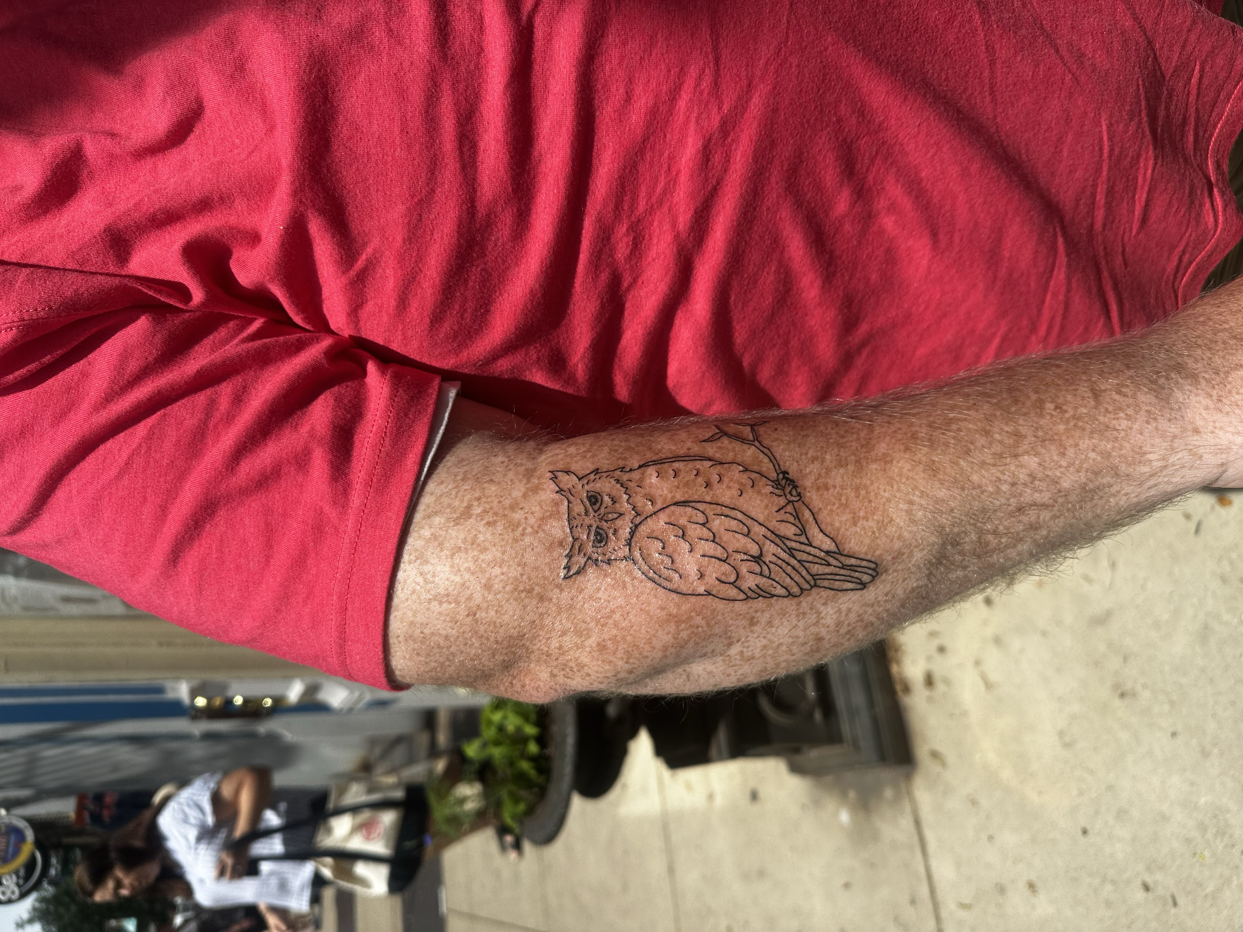 A person's arm with a tattoo of an owl sitting on a branch, wearing glasses, visible from the elbow to the shoulder, with a red shirt sleeve rolled up.