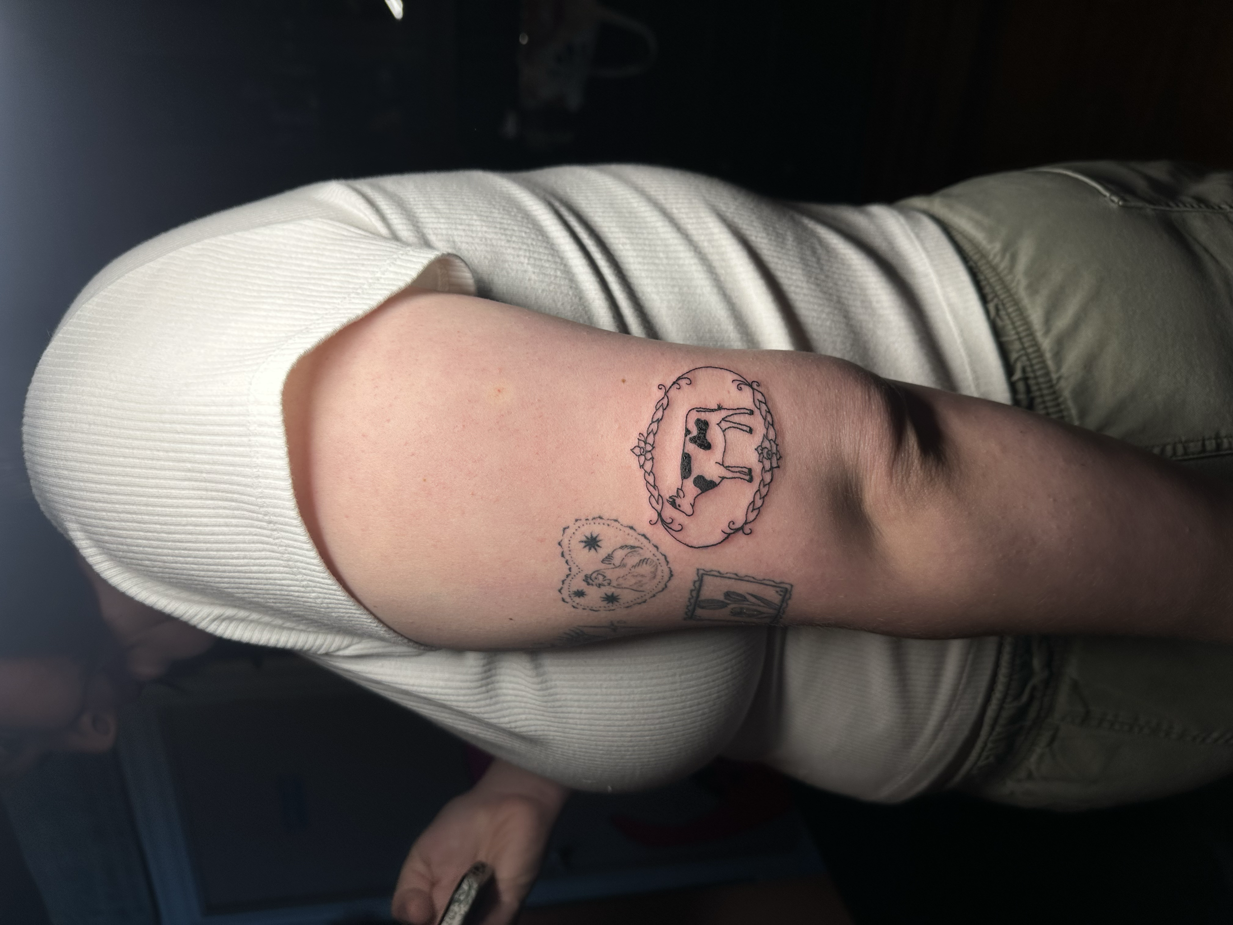 A person with light skin and short hair wearing a white t-shirt has tattoos on their upper arm, including a cow inside a decorative oval frame and other smaller designs. The individual appears to be indoors, possibly in a dimly lit setting.