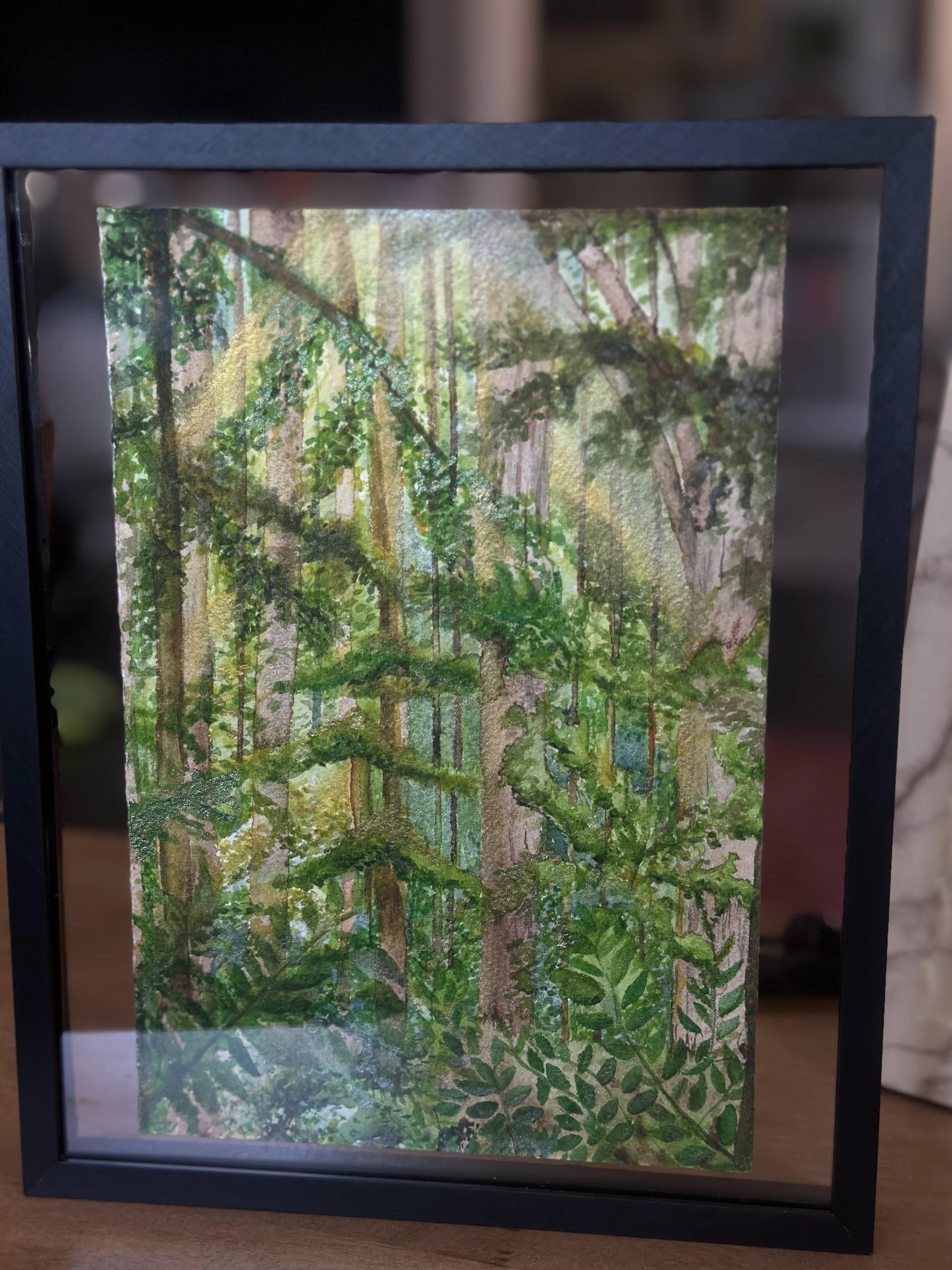 A framed watercolor painting of a lush green forest scene with tall trees, dense foliage, and sunlight filtering through the leaves.