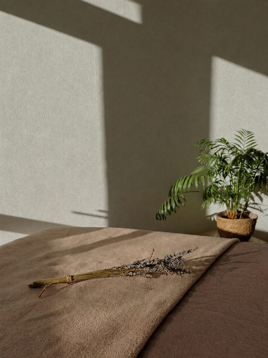 Sunlit beige fabric surface with a small bundle of dried lavender, with a potted green fern in the background, casting soft shadows on a neutral wall.