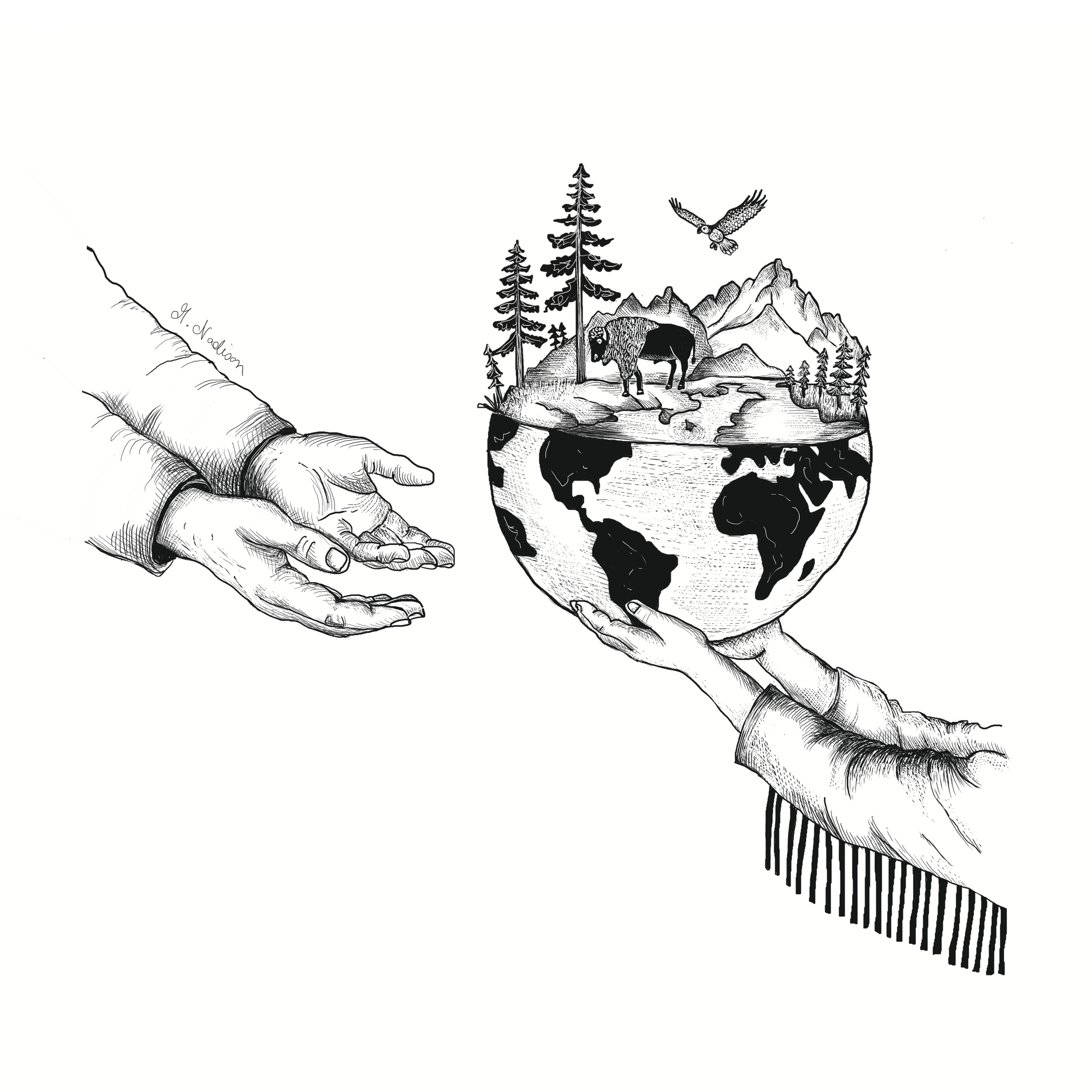 We do not inherit the earth from our ancestors; we borrow it from our children