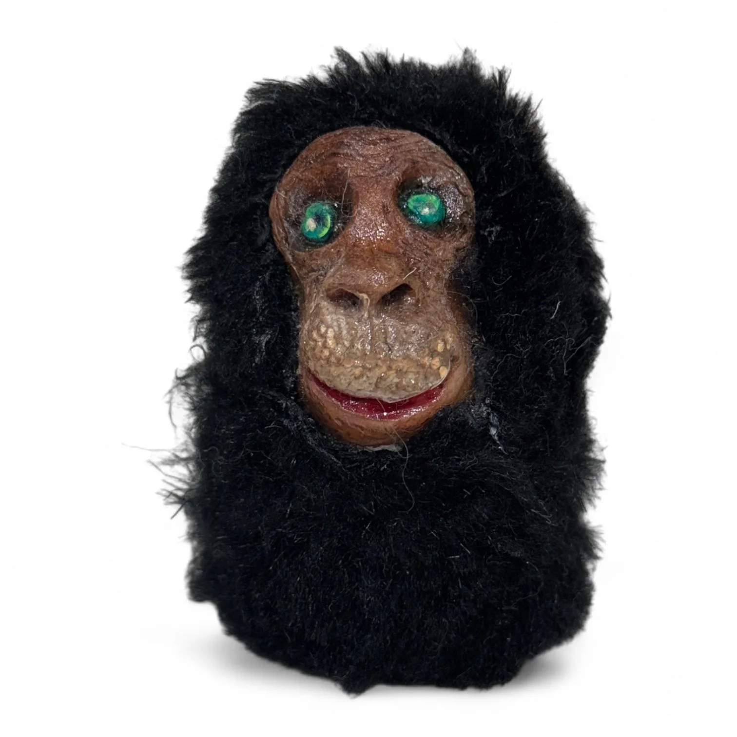 Chimpanzee