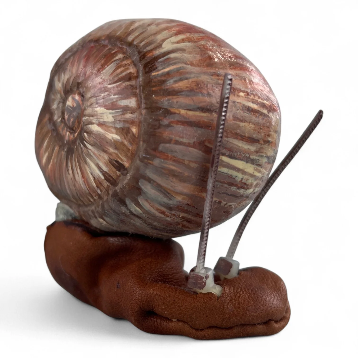 Snail