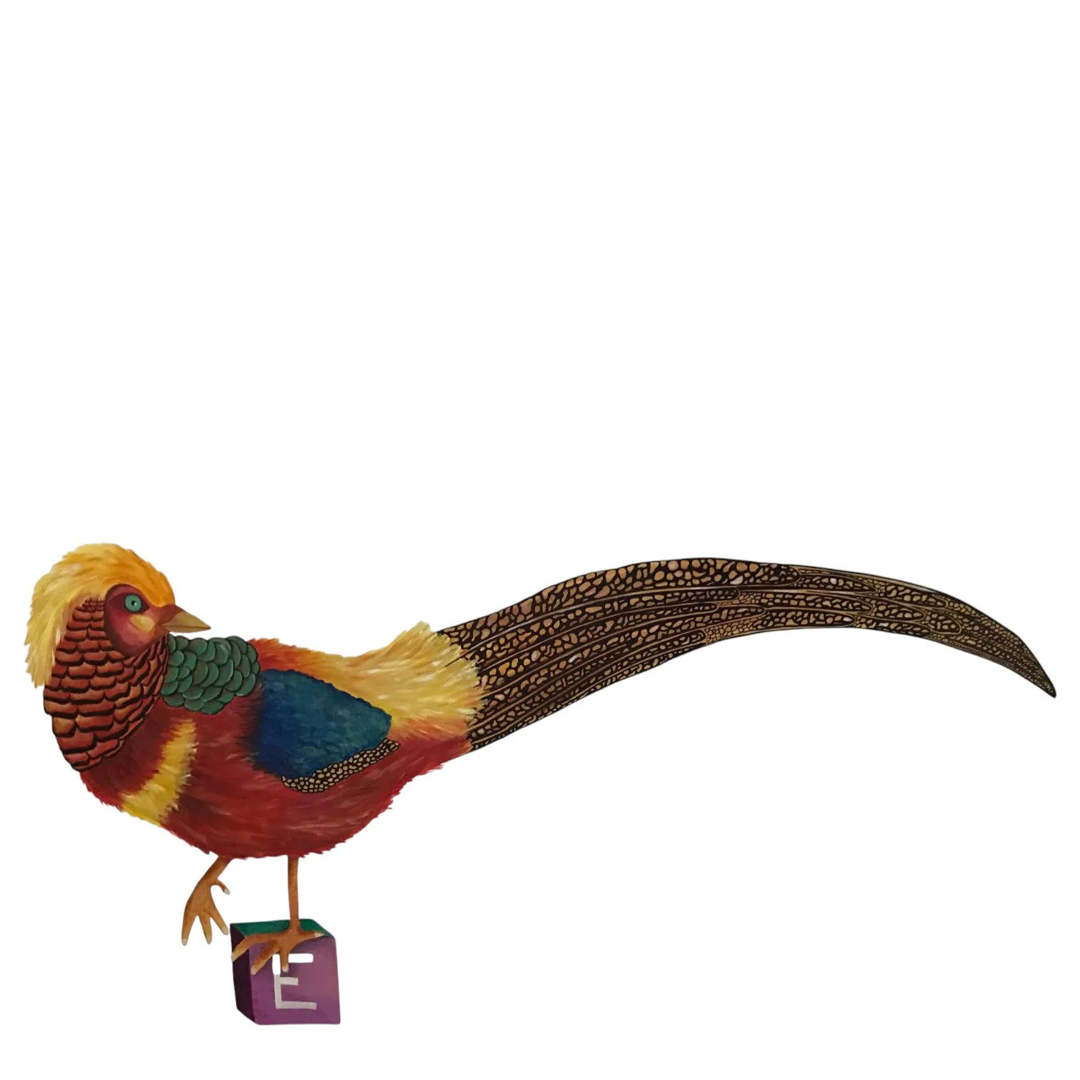 Golden Pheasant