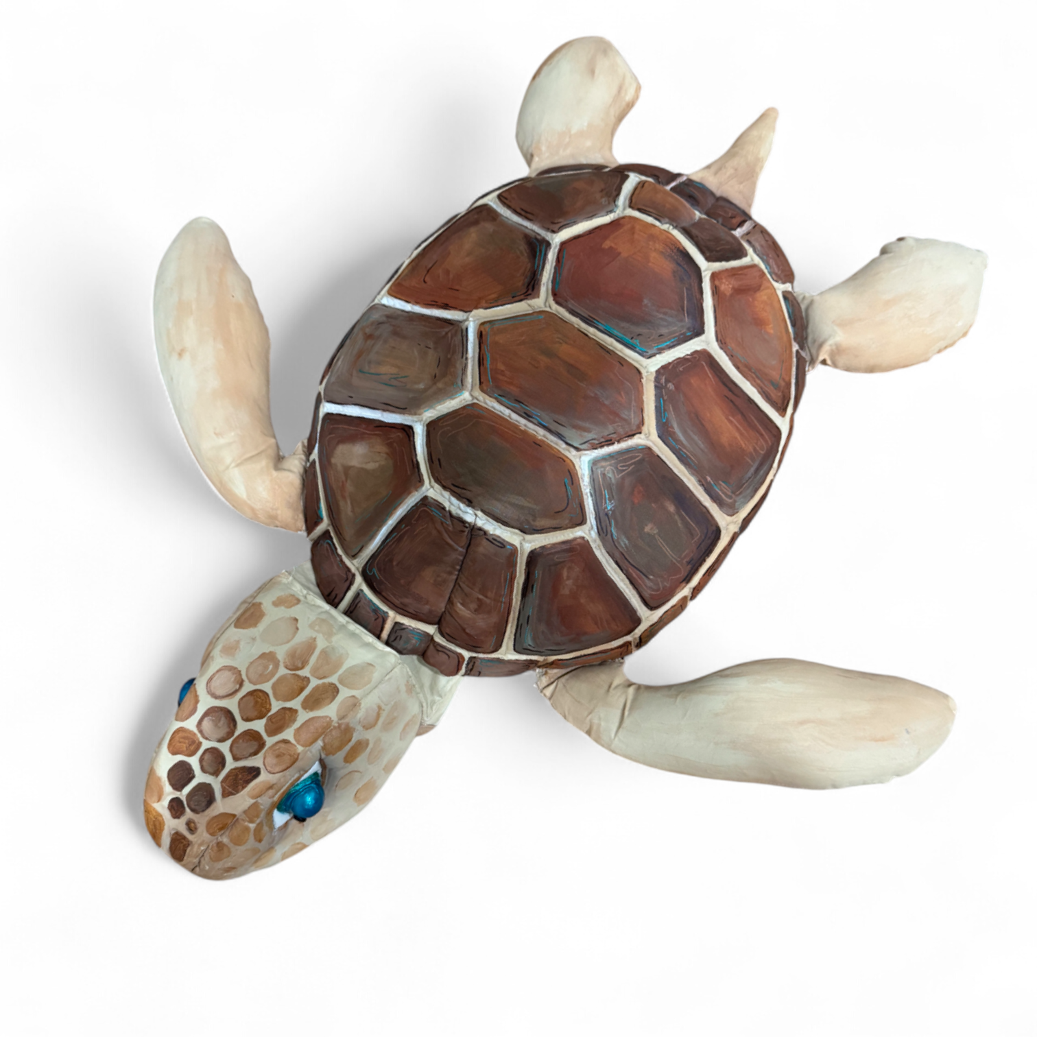 Sea Turtle