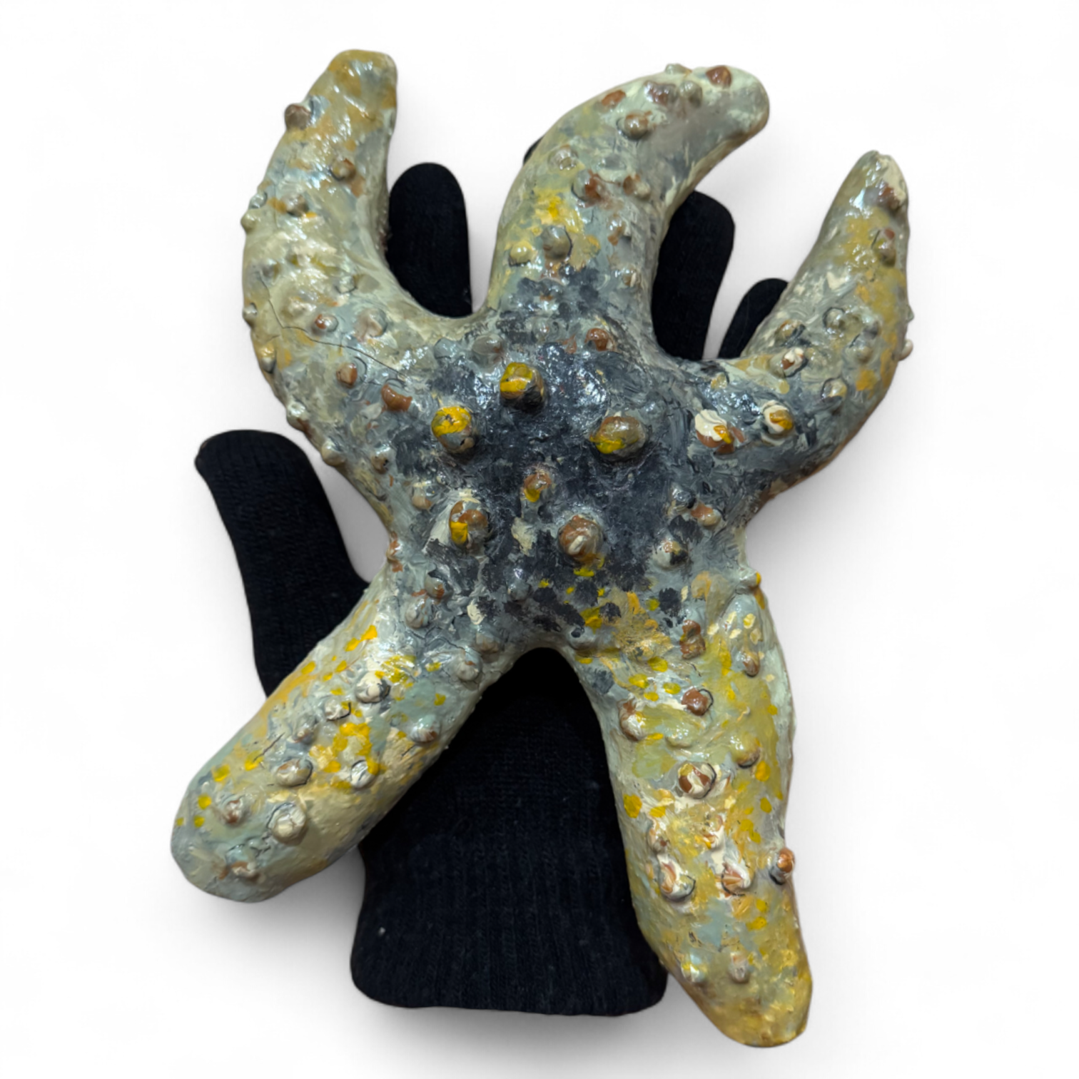 Starfish