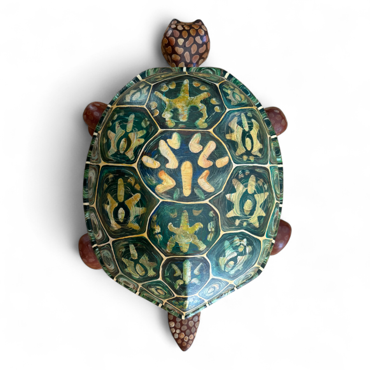 Box Turtle (1)