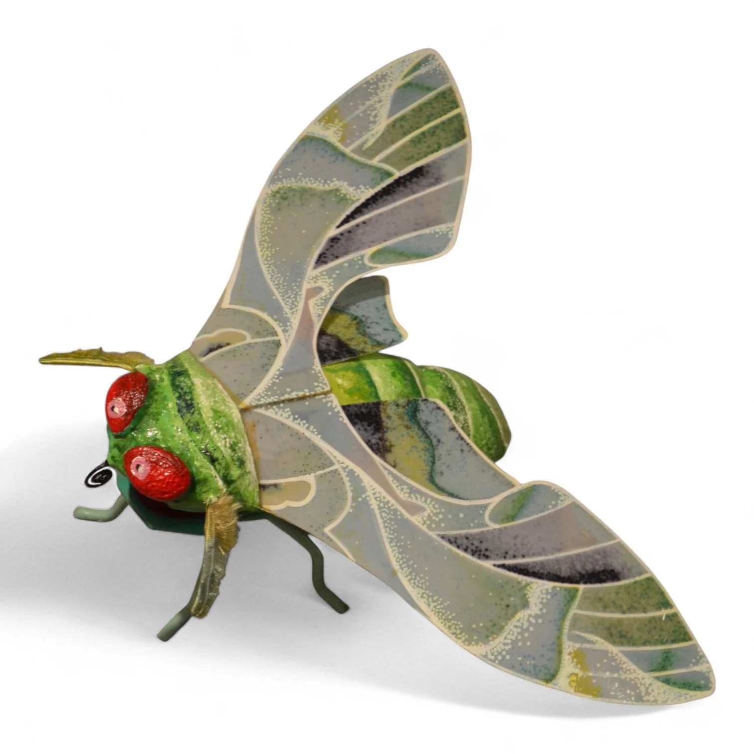 Oleander Hawkmoth
