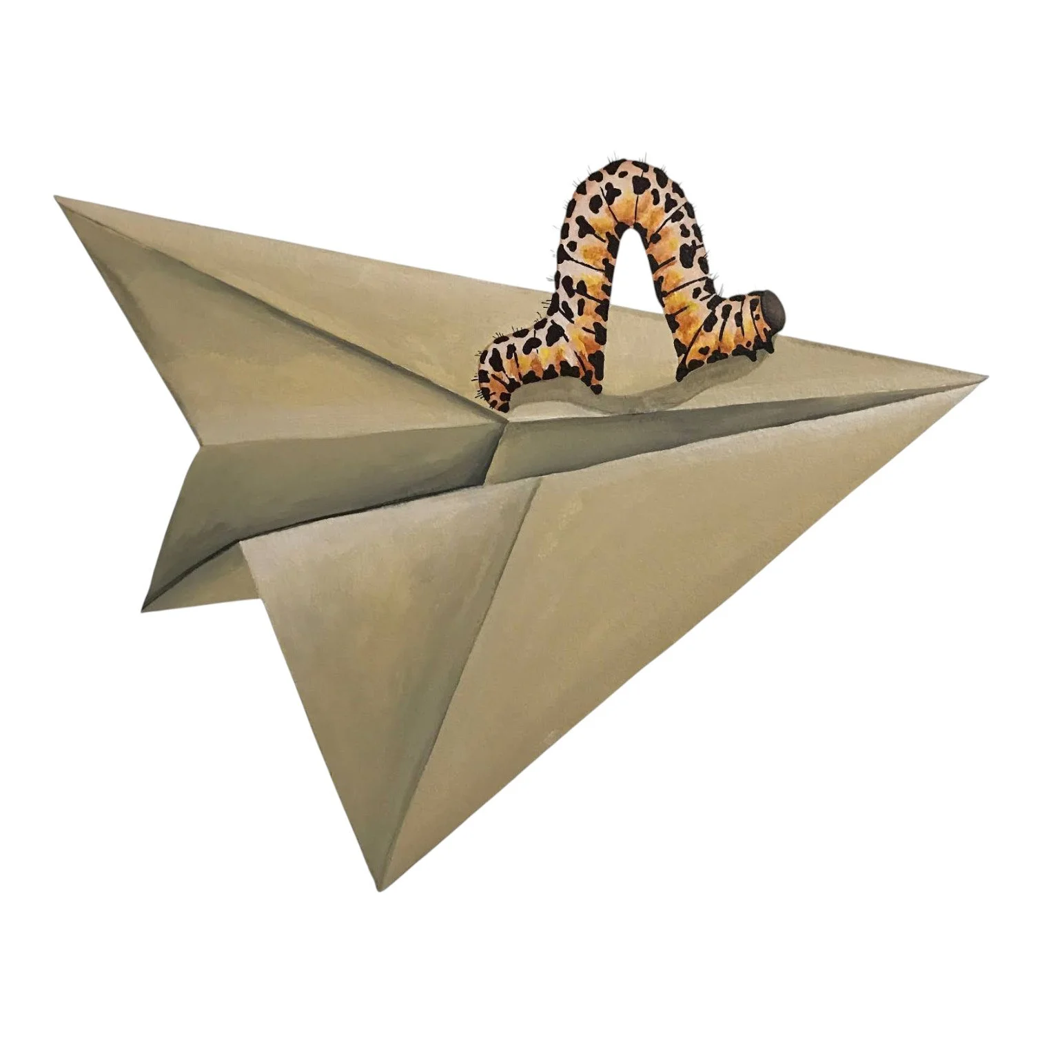 Caterpillar on Paper Plane