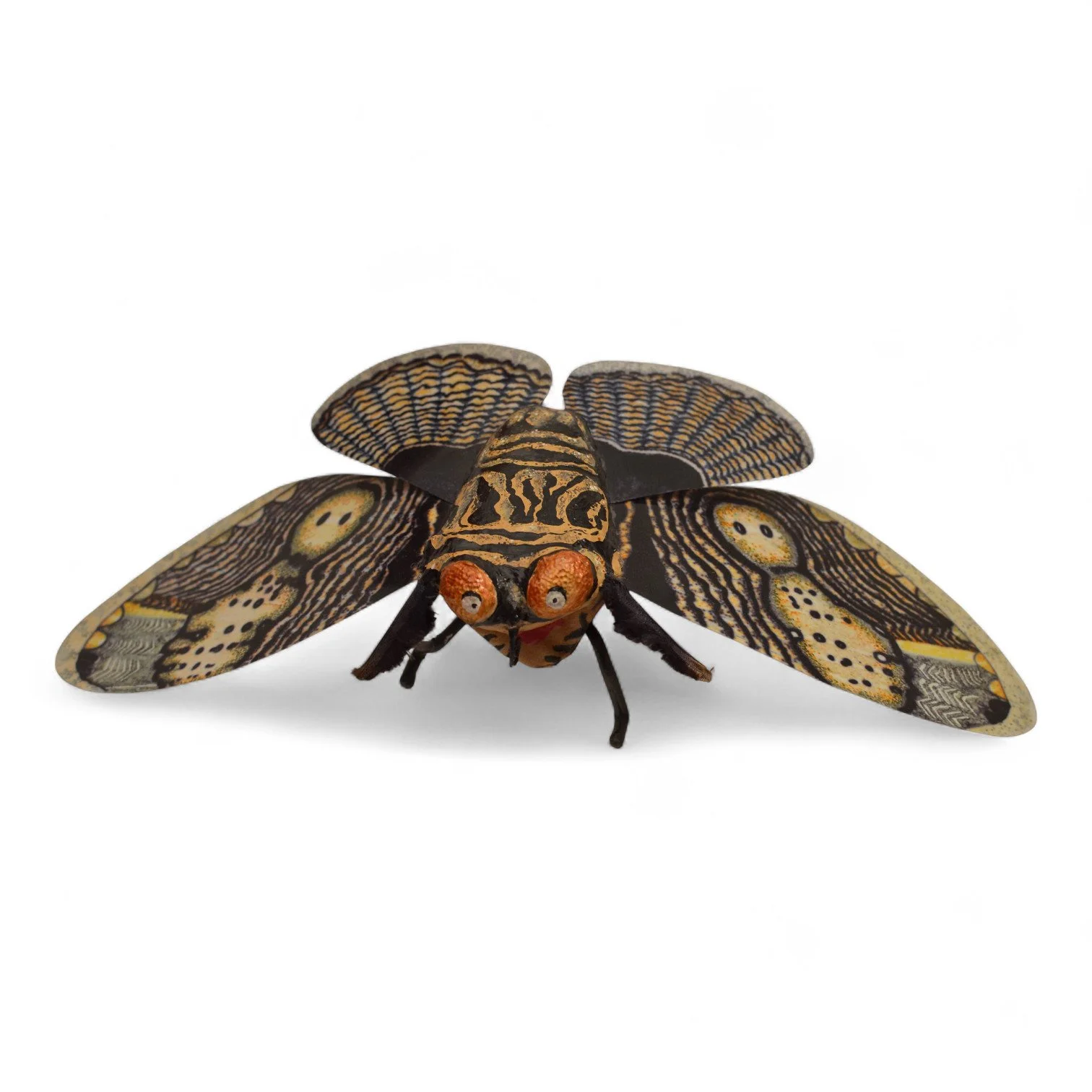 Owl Moth