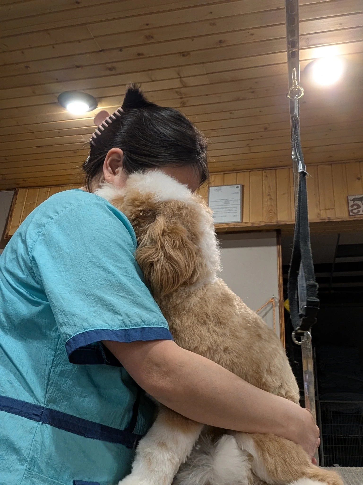 🐾 Grooming Myth: “It’s Just About Looks”