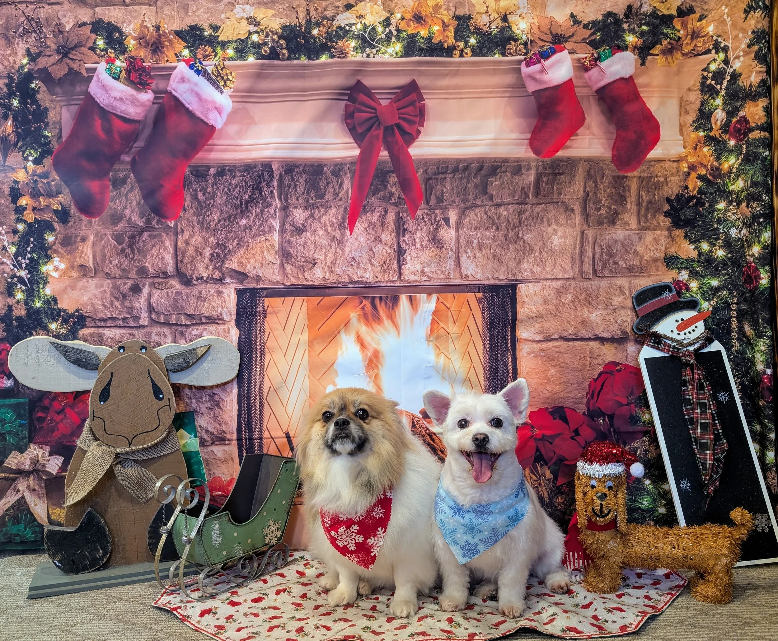 Two dogs sitting in front of a Christmas fireplace with stockings hanging above, decorated with garland and lights. The dog on the left has a red festive bandana, and the dog on the right has a blue bandana. There are holiday decorations including a reindeer figure, a sleigh, a snowman figure, and a gold dog with a Santa hat.