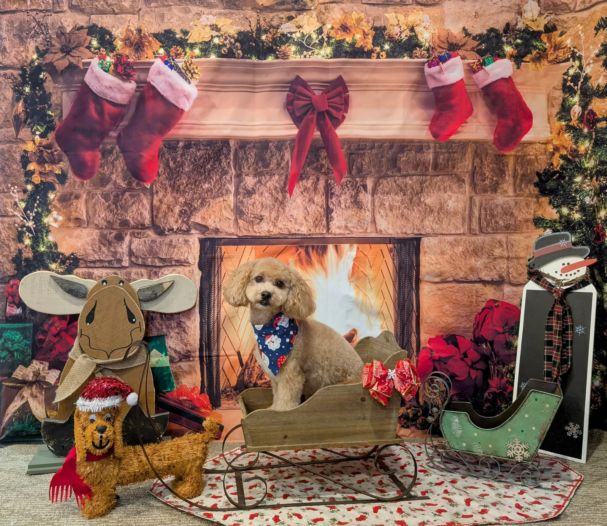 A small dog sitting in a wooden sleigh in front of a Christmas fireplace scene with stockings, garlands, and holiday decorations. The dog is wearing a holiday bandana. There are festive decorations including a reindeer, a snowman, and a puppy ornament, as well as wrapped presents and a Christmas-themed rug.