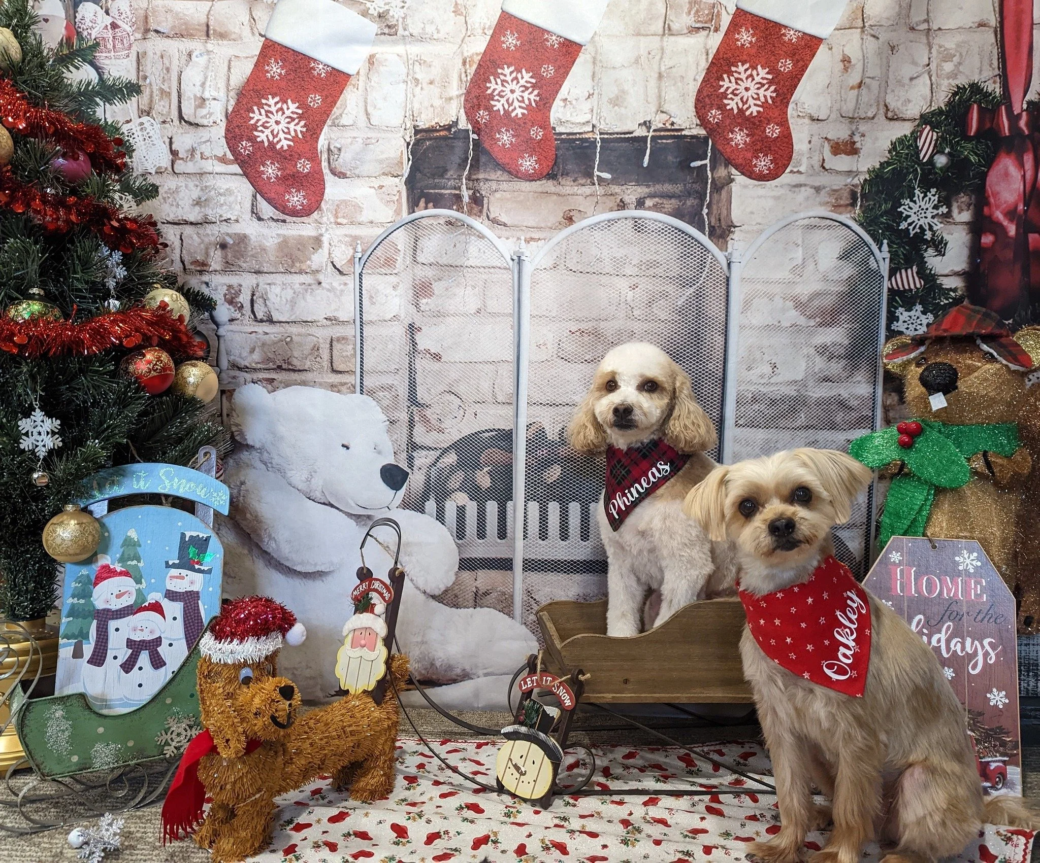 Two small dogs wearing red bandanas, inside a festive Christmas setting with decorations including a Christmas tree, stockings, plush bear, reindeer figure, and holiday signs, in front of a brick fireplace backdrop.