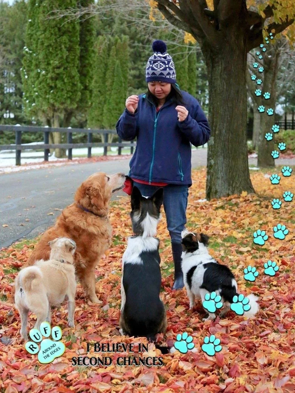 A girl wearing a blue jacket and a winter hat standing on a leaf-covered path in a park, surrounded by four dogs sitting and looking at her. The scene features autumn trees and a wooden fence in the background, with paw print graphics and motivational text overlayed.