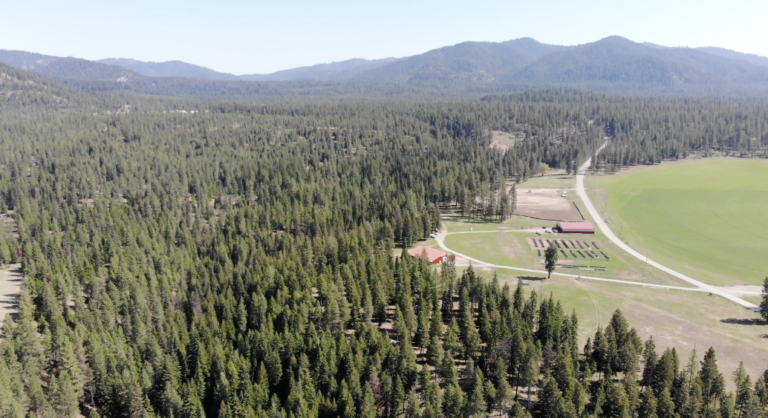 Land Back: How Two Tribes are Re-Acquiring and Leveraging Community Forests