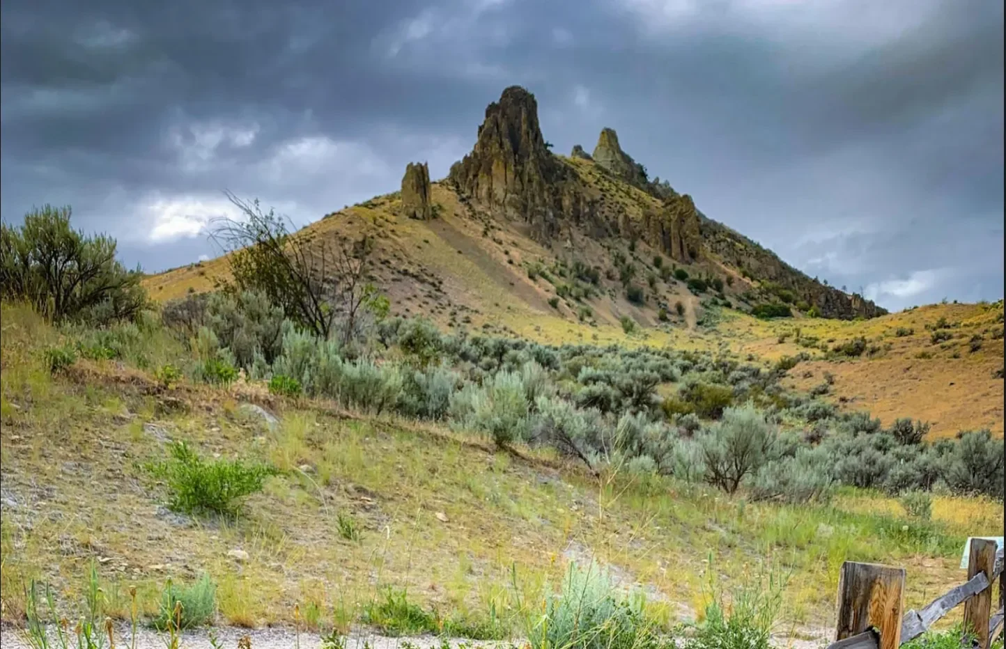 Belonging in the Outdoors Report