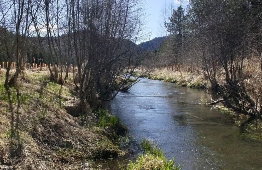 ‘They’re not scared, they’re just at home’: Man plans to donate 885 acres to the Kalispel Tribe through conservation easement to protect wildlife