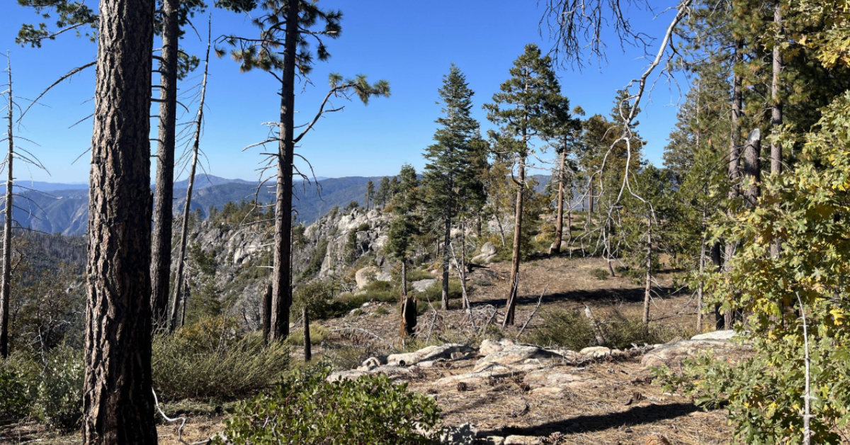 900 Acres Near Yosemite Returned to Miwuk Nation in Historic Land Back Deal
