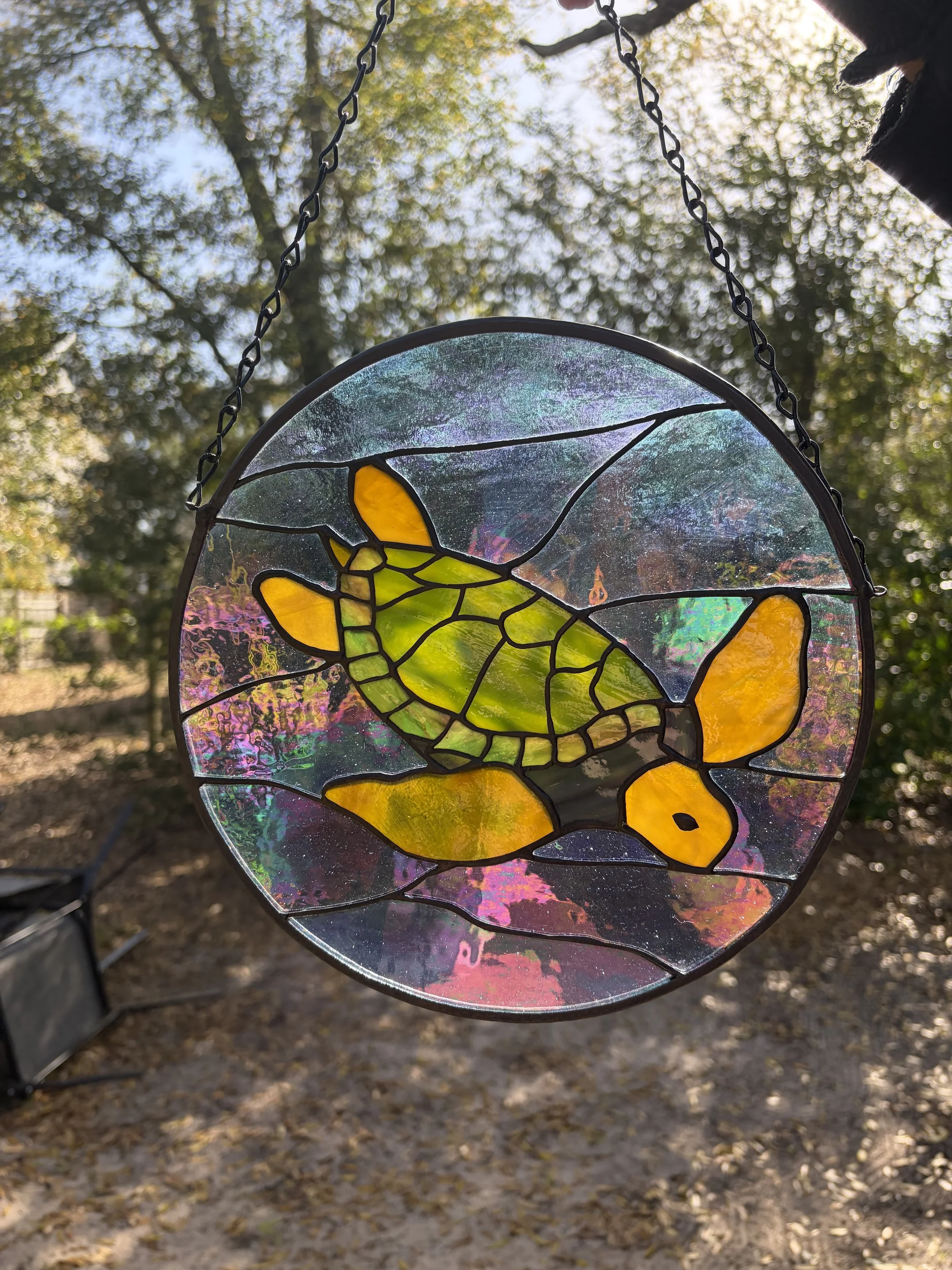 sea turtle iridescent.jpeg