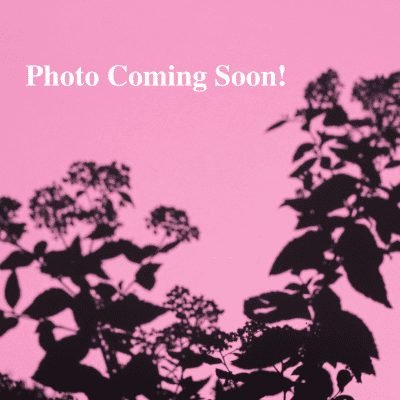Coming-soon-FTT-Products-400x400.jpg
