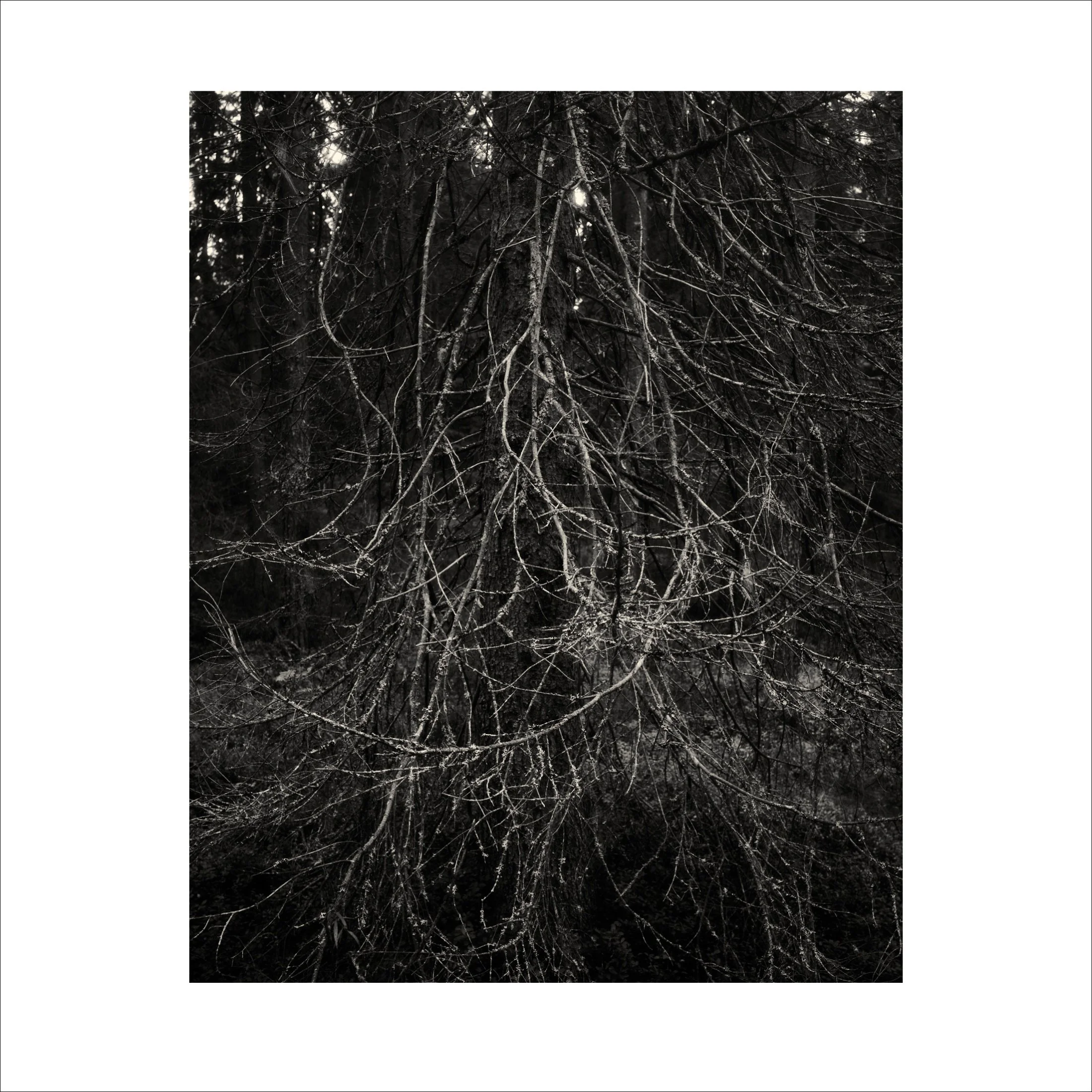 Untitled2_22.jpg