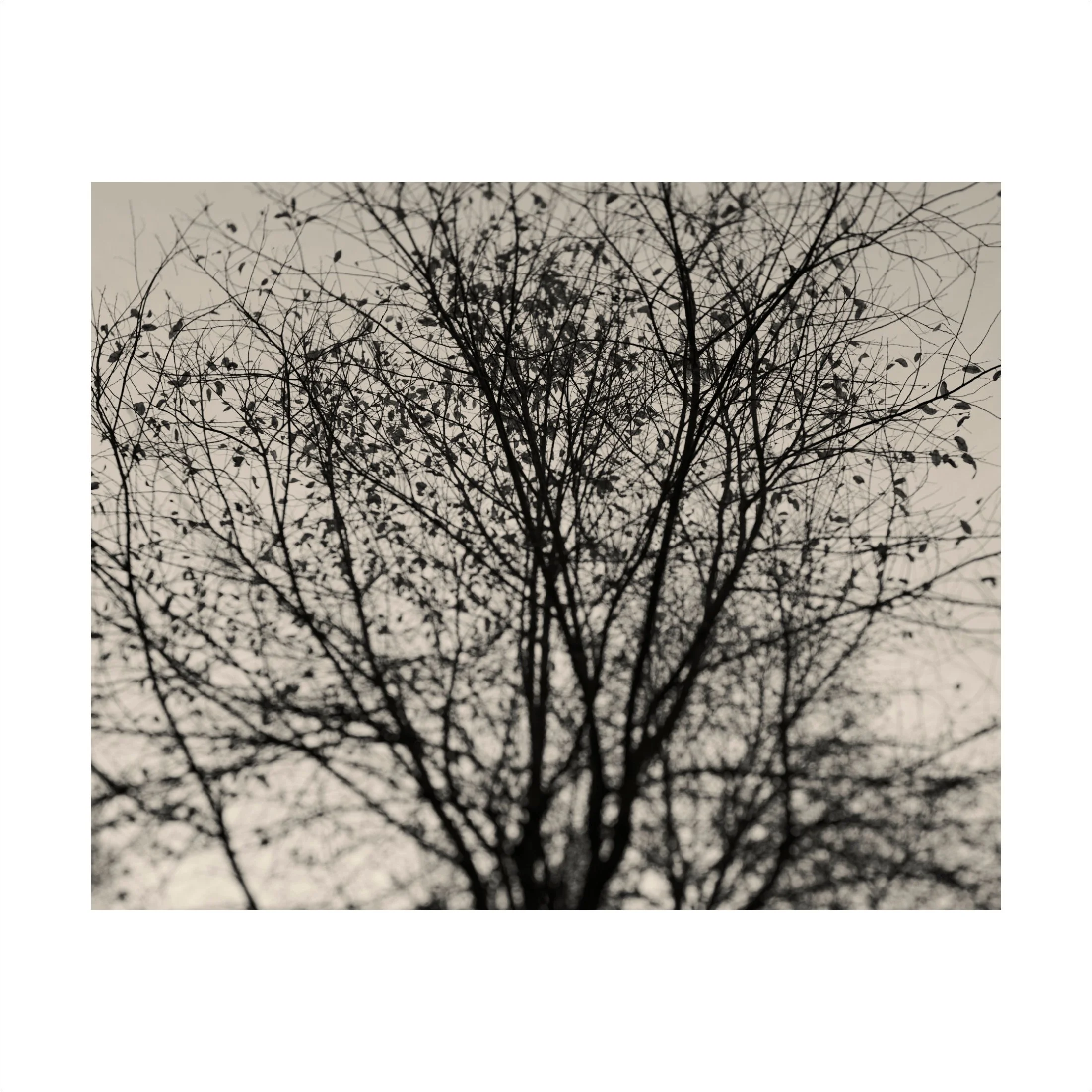 Untitled2_8.jpg