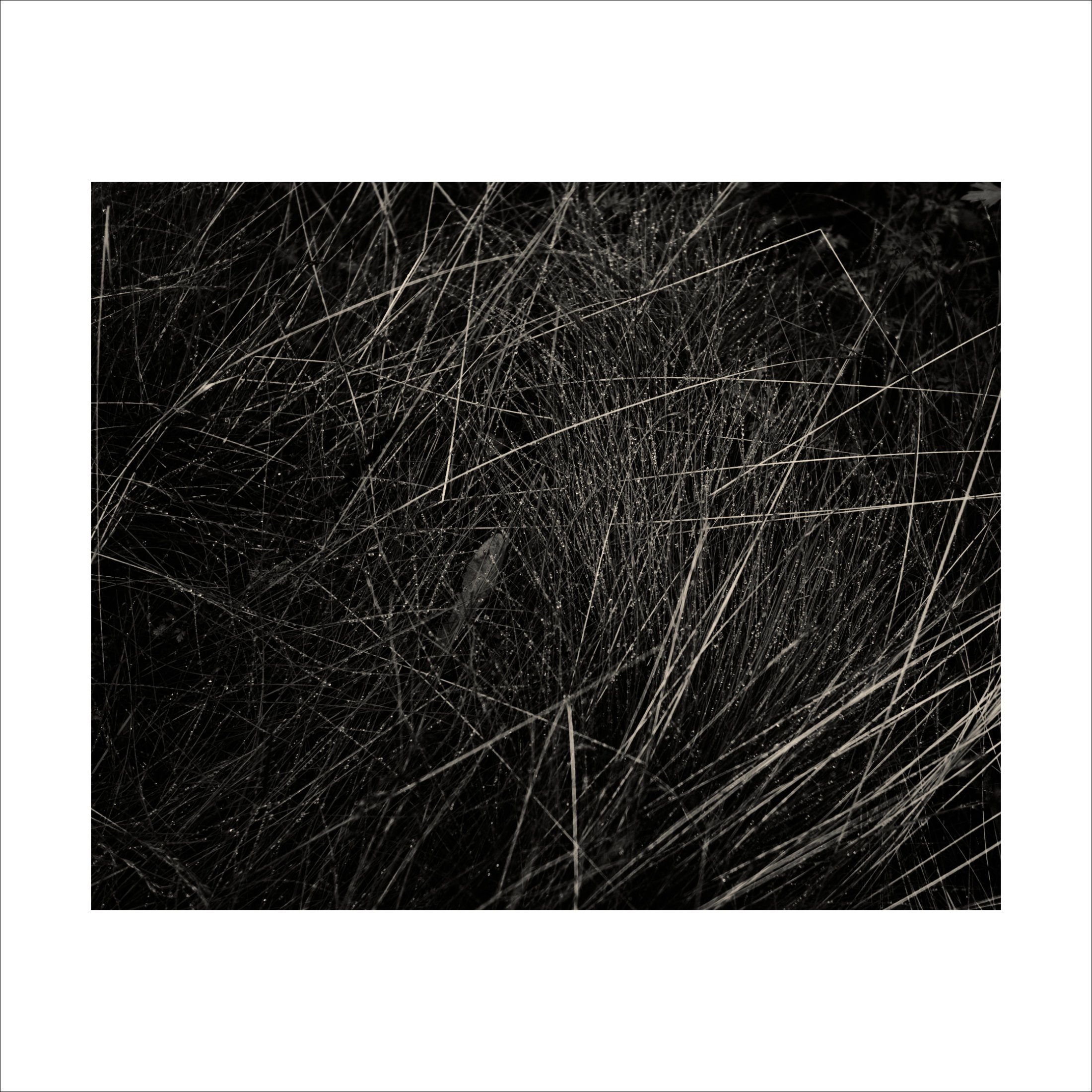 Untitled2_28.jpg