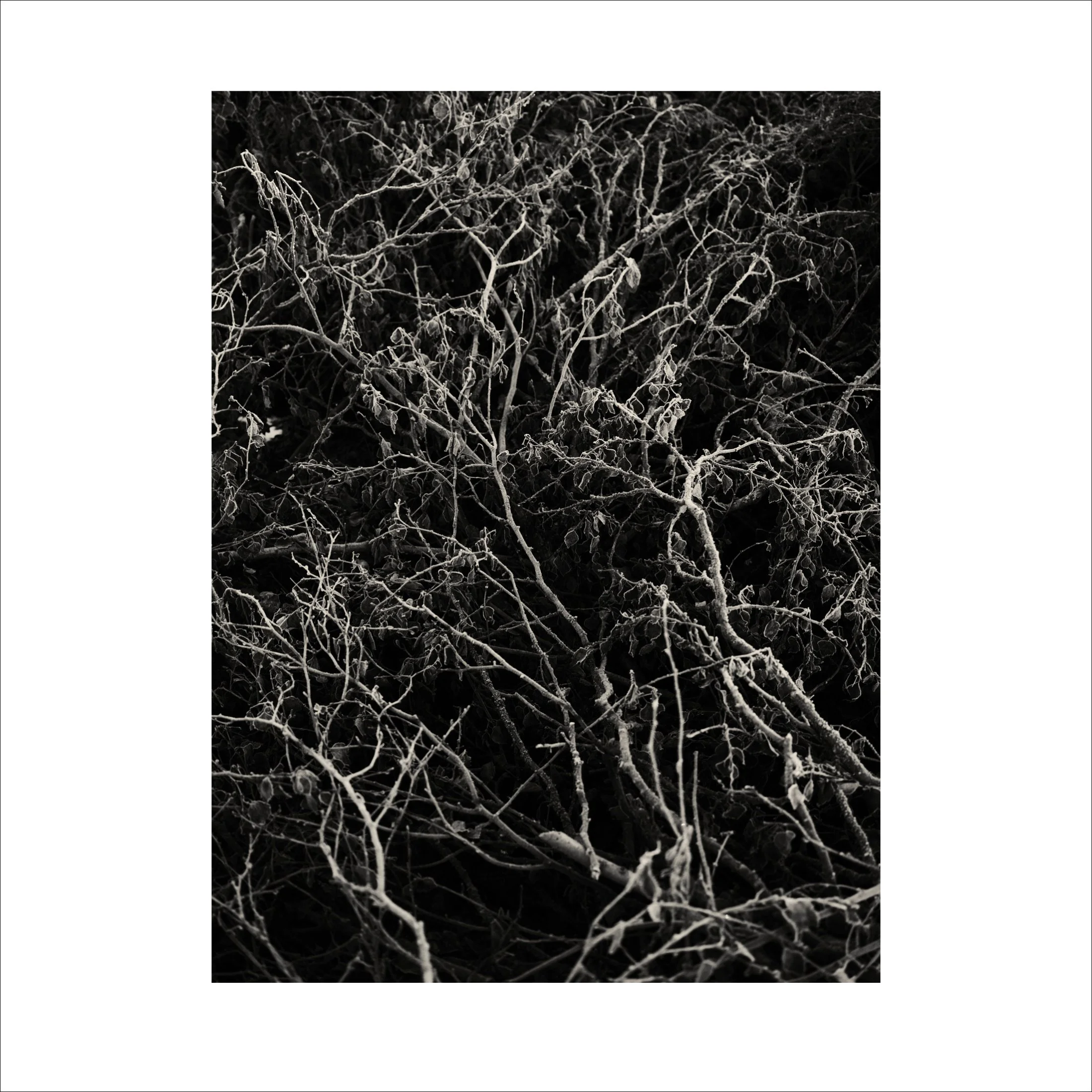 Untitled2_33.jpg