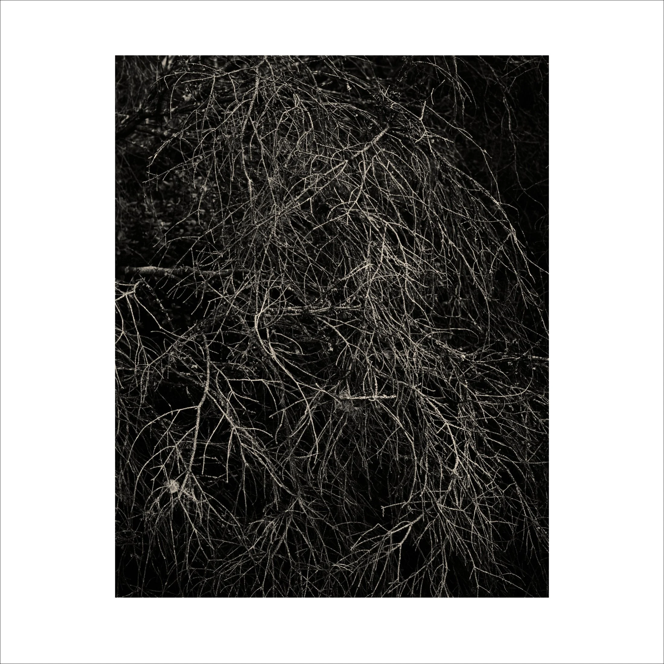 Untitled2_19.jpg