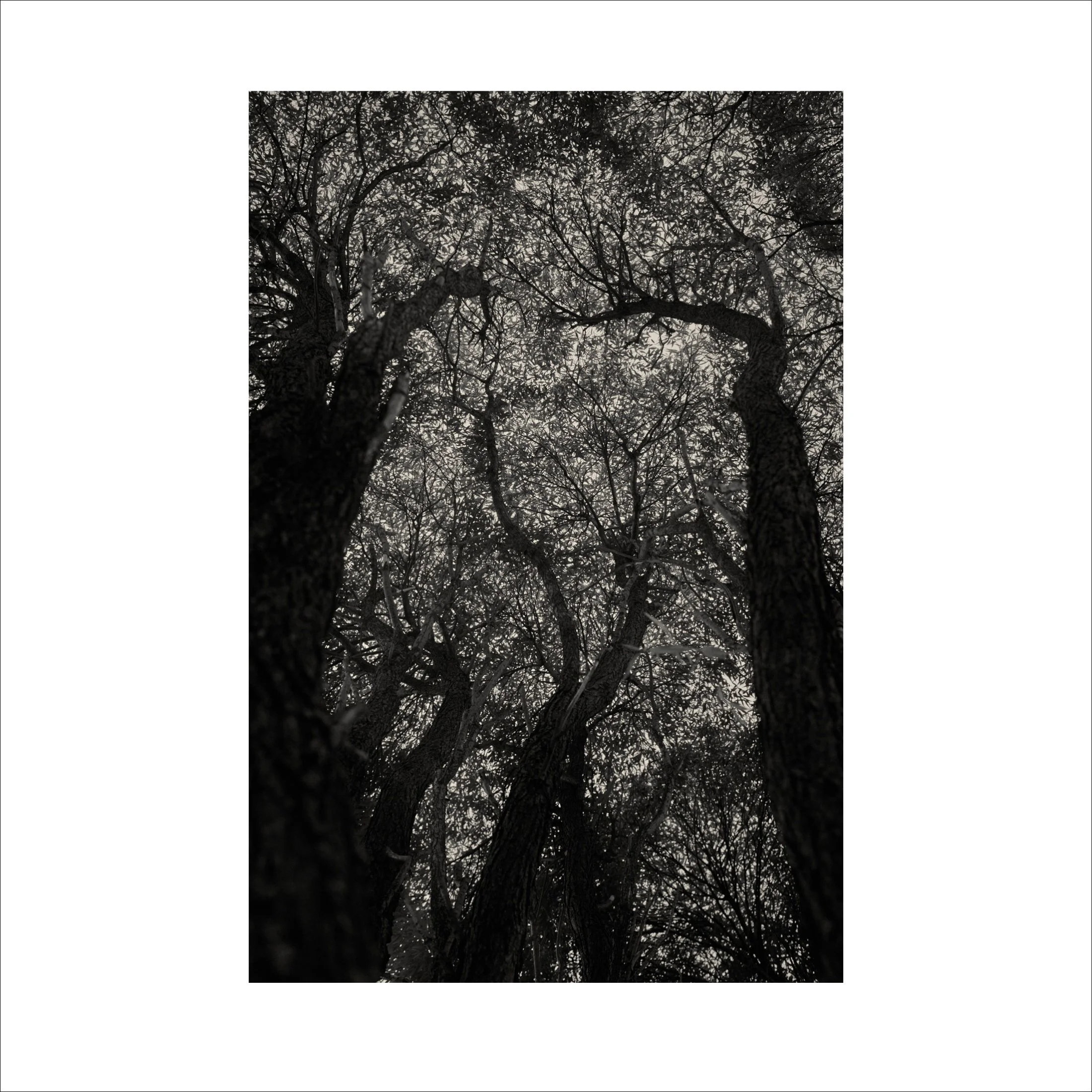 Untitled2_20.jpg
