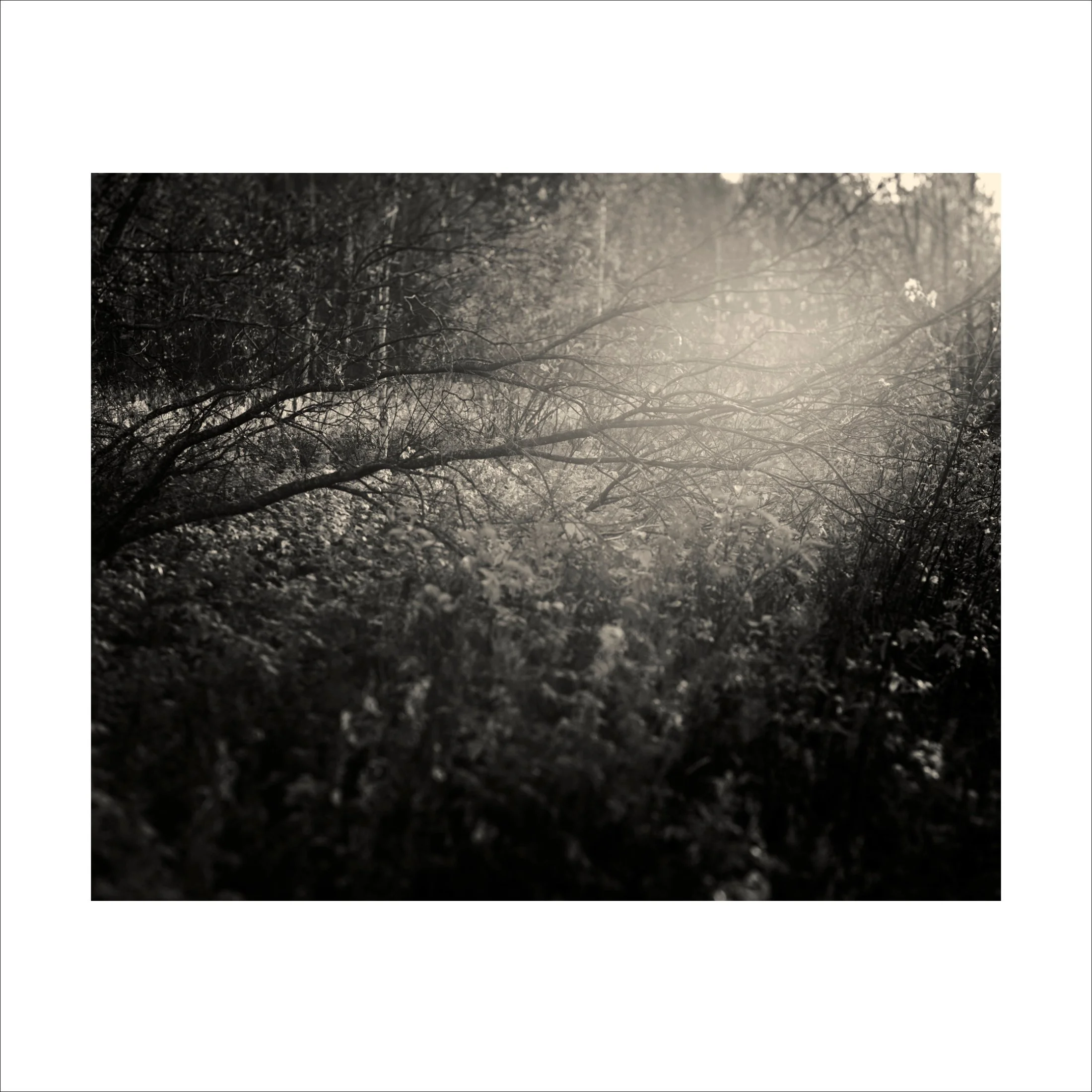 Untitled2_13.jpg