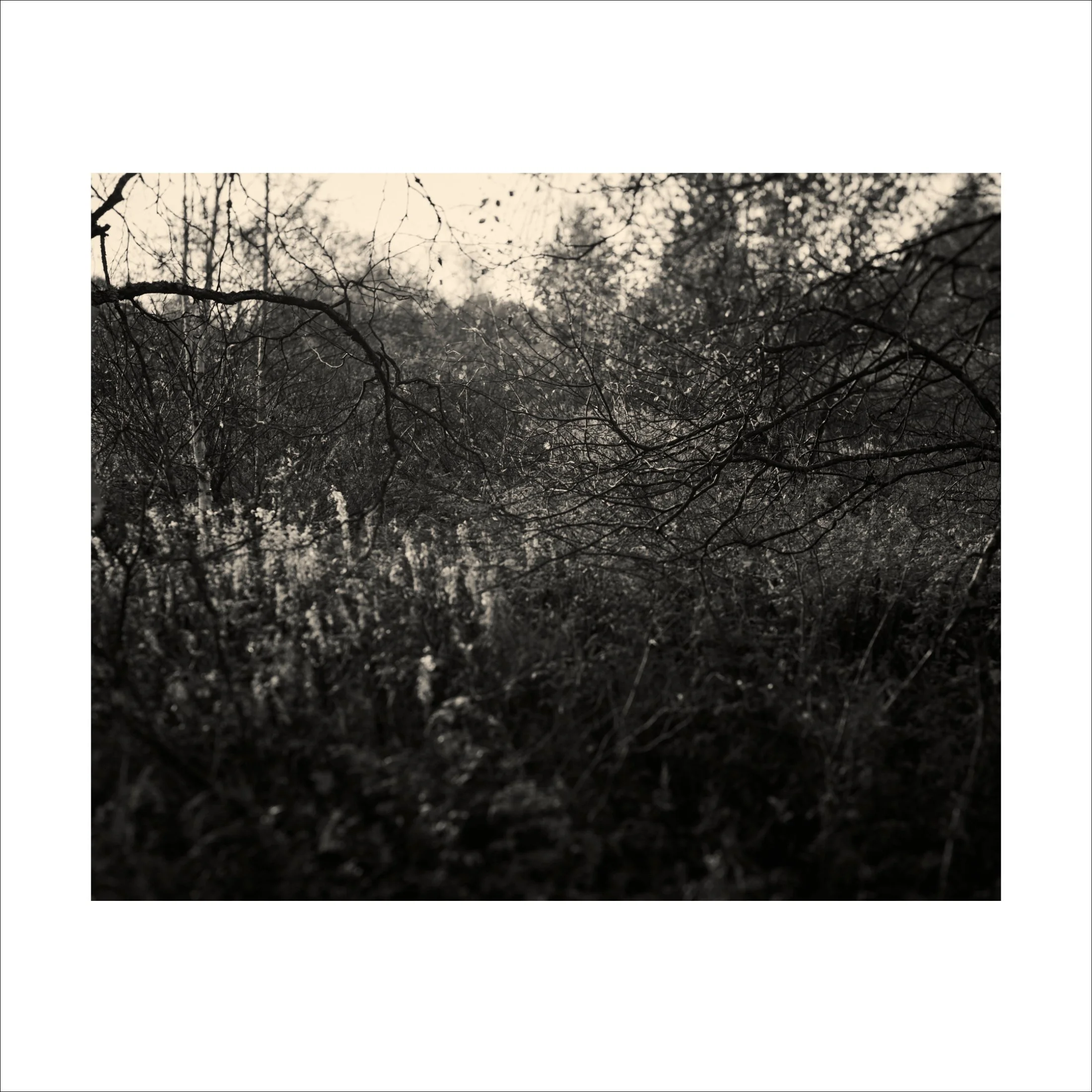 Untitled2_14.jpg