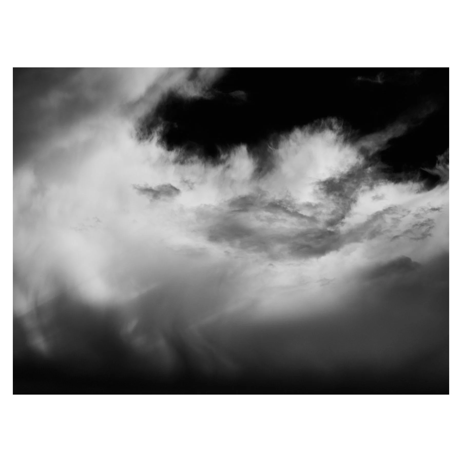 _PU82603_04-08-26.jpg