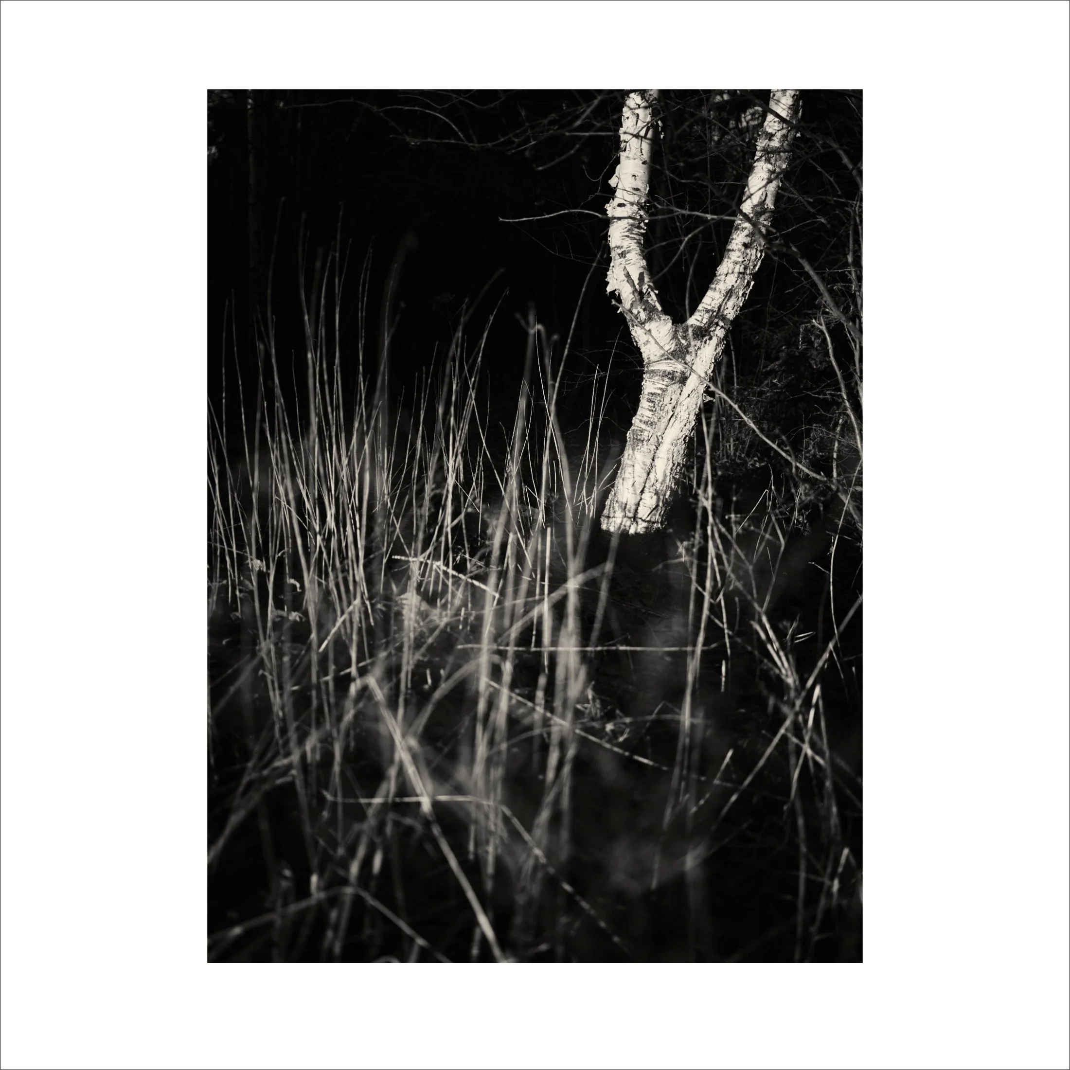Untitled2_32.jpg