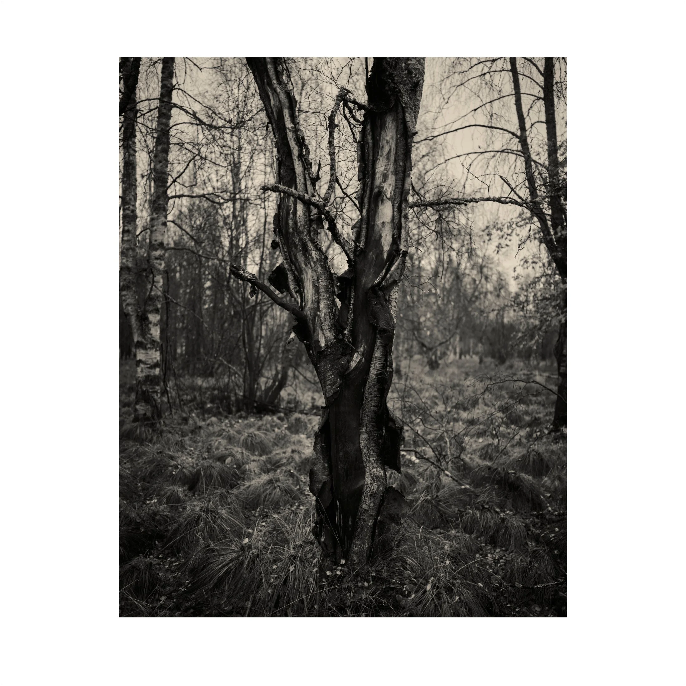 Untitled2_5.jpg