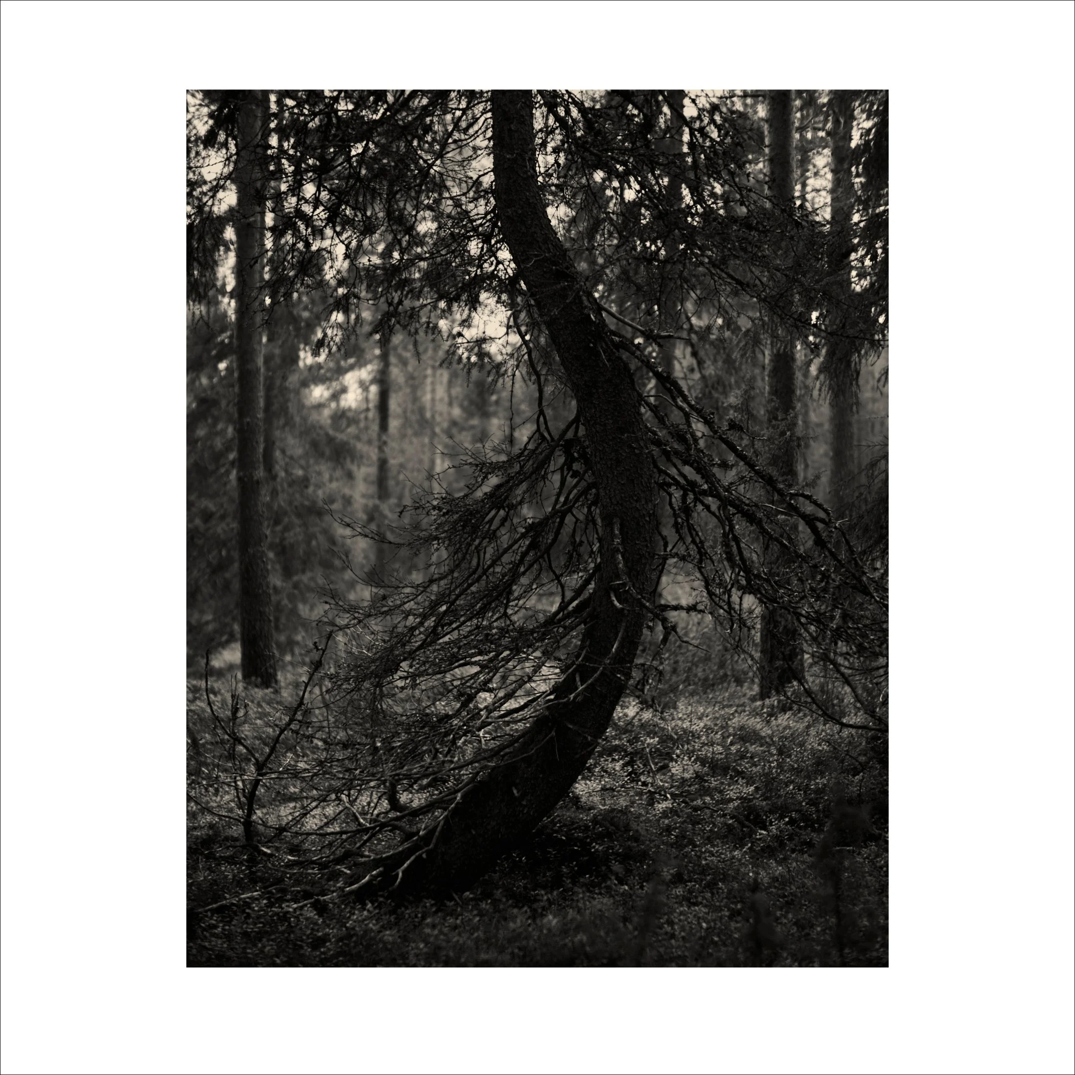 Untitled2_24.jpg