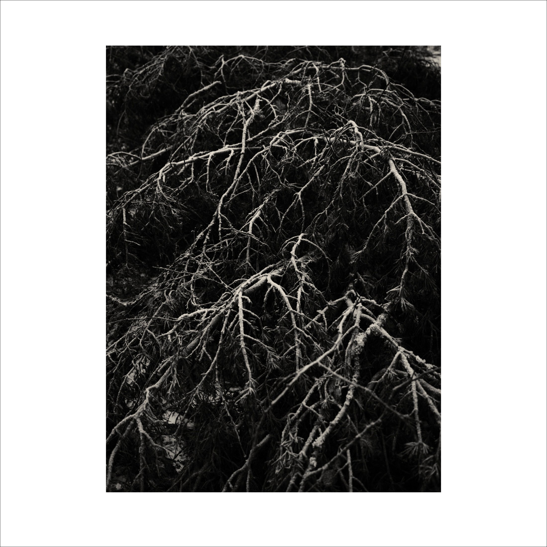 Untitled2_31.jpg