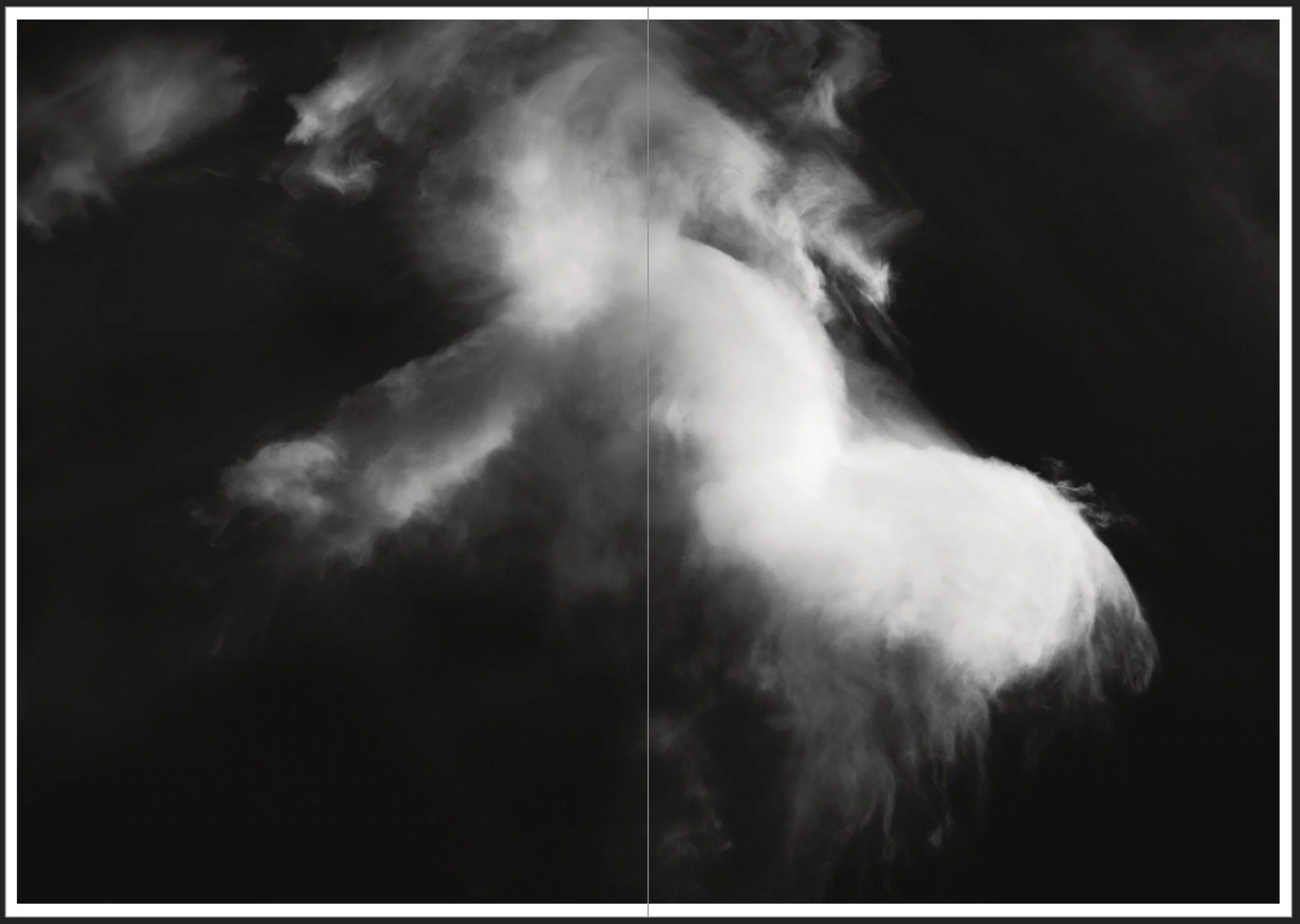 Black and white photo of clouds forming a shape resembling a horse's head, with a reflection on water below.