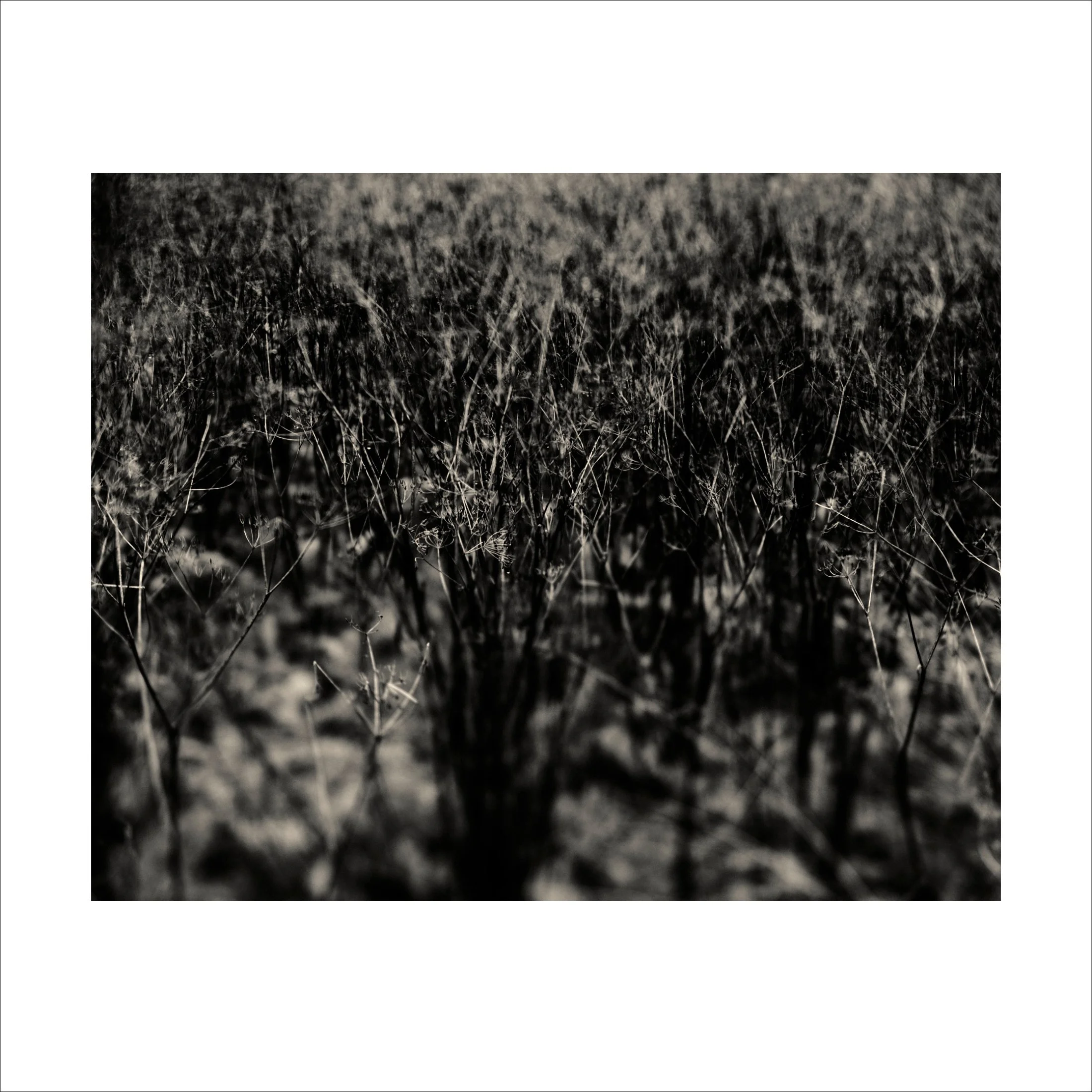Untitled2_29.jpg