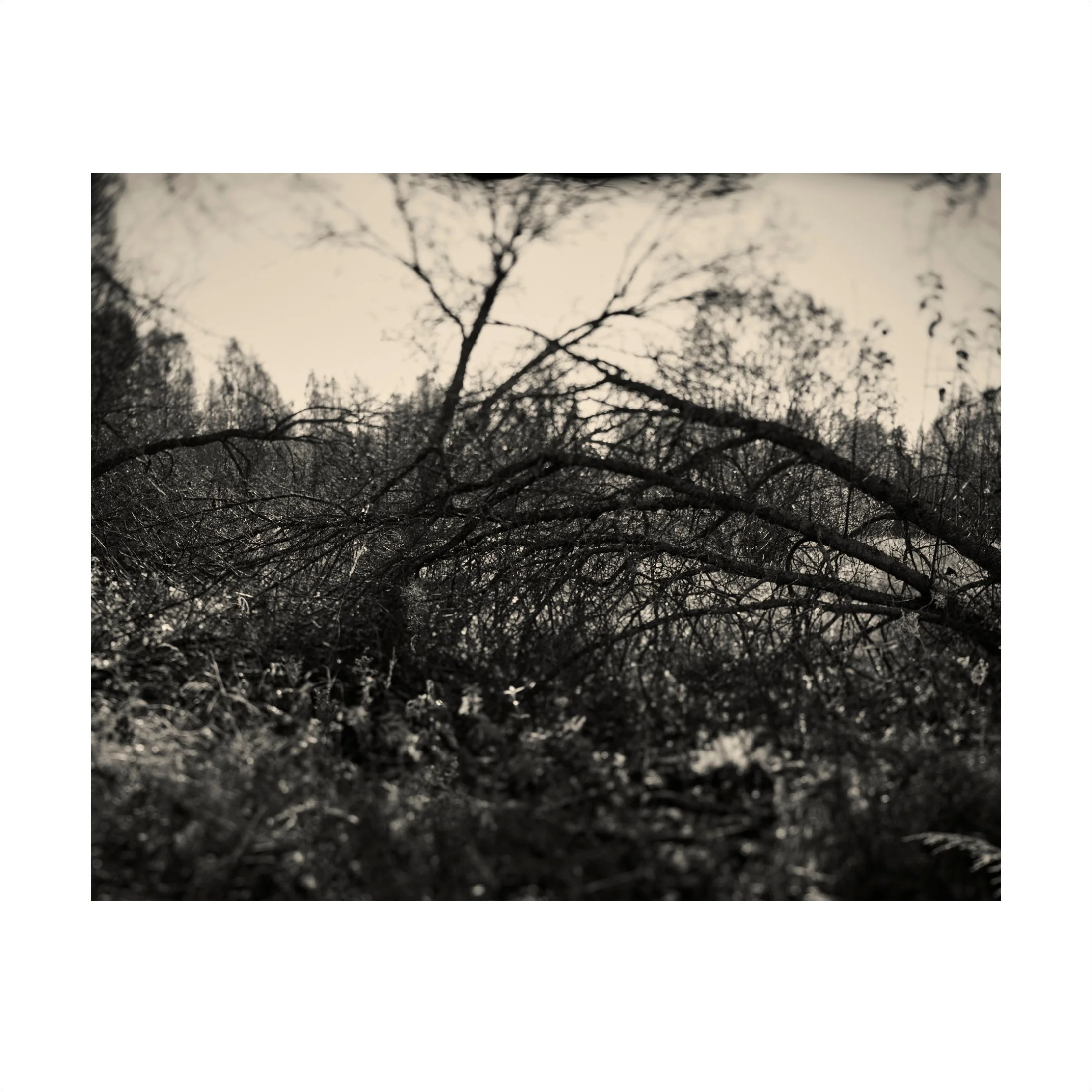 Untitled2_10.jpg