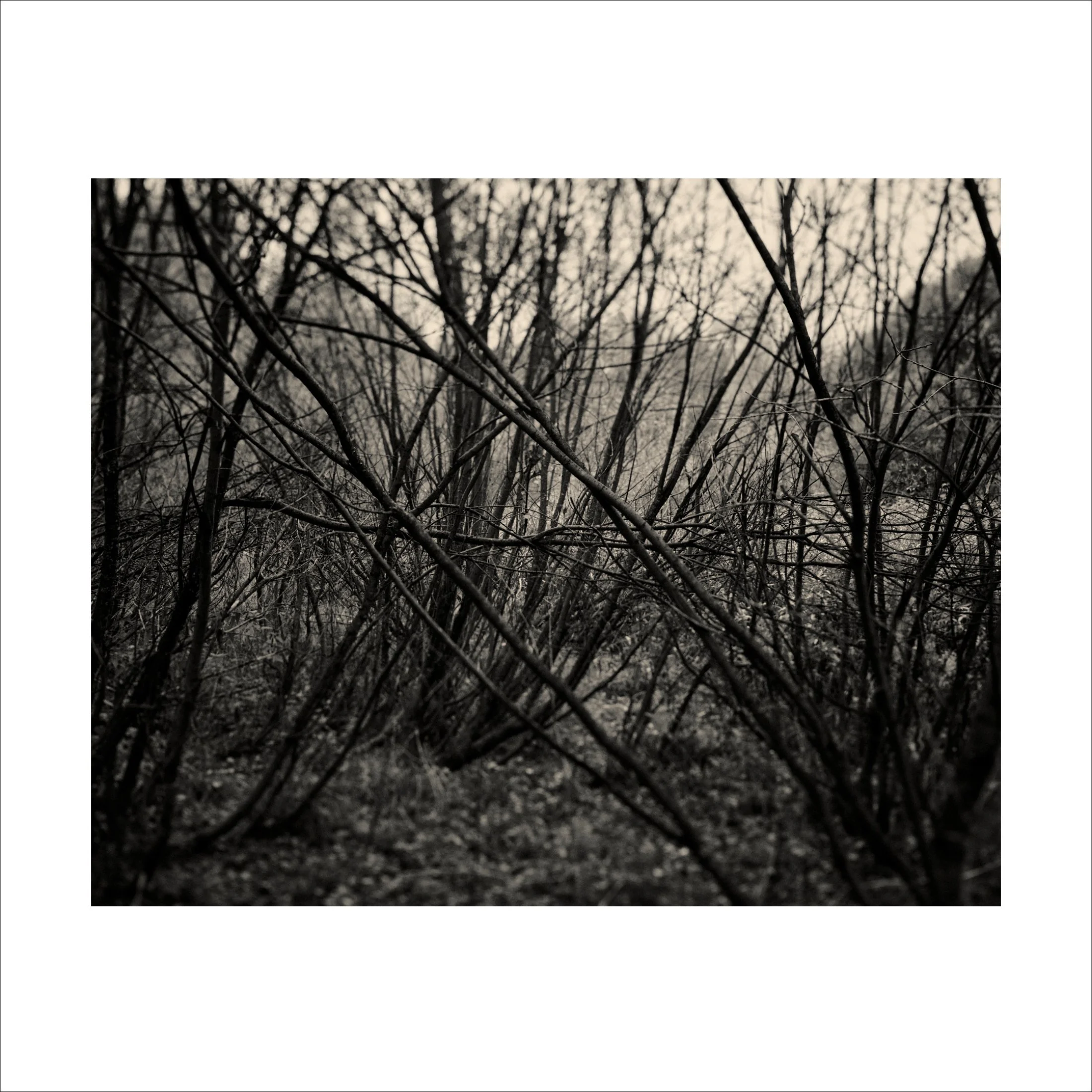 Untitled2_15.jpg