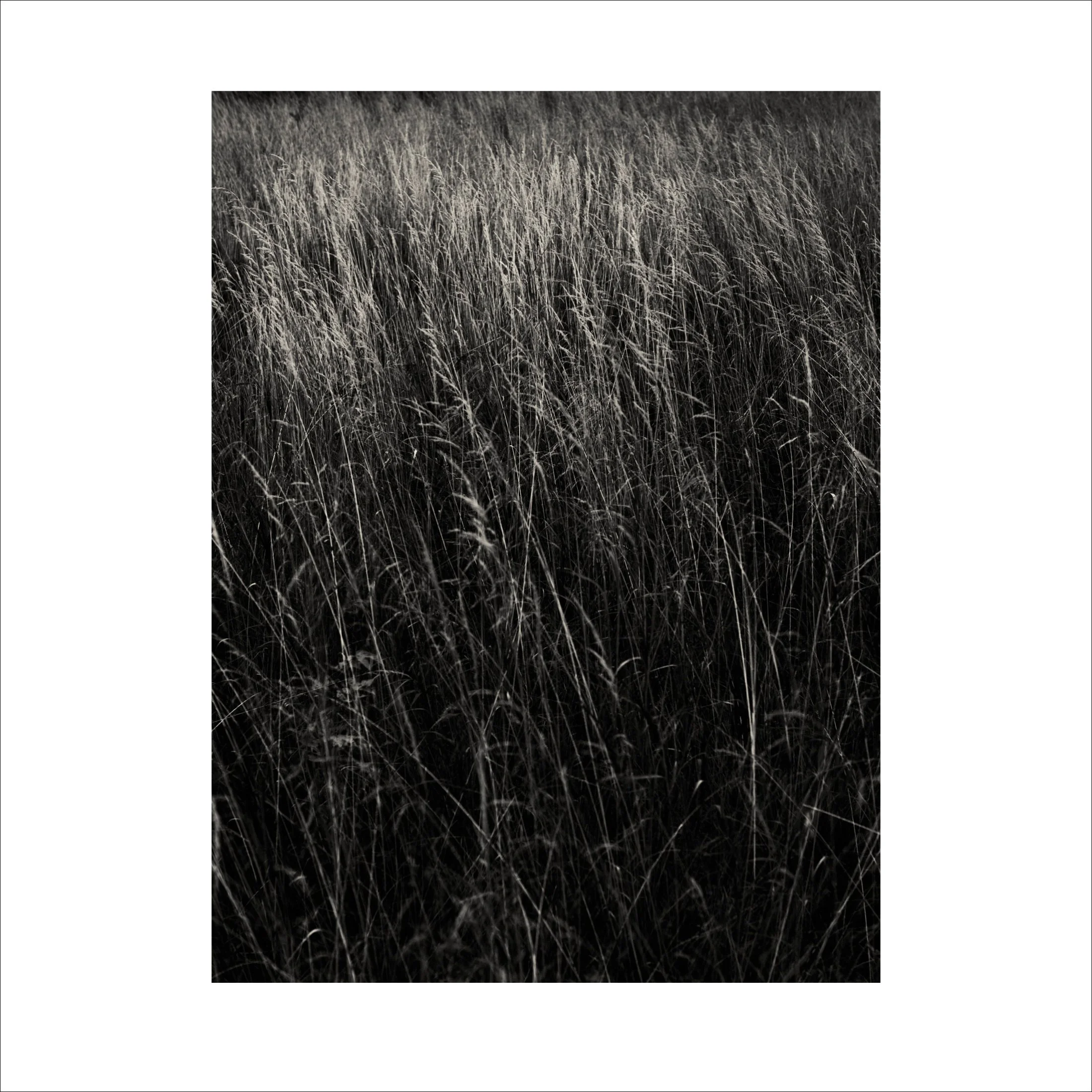 Untitled2_26.jpg