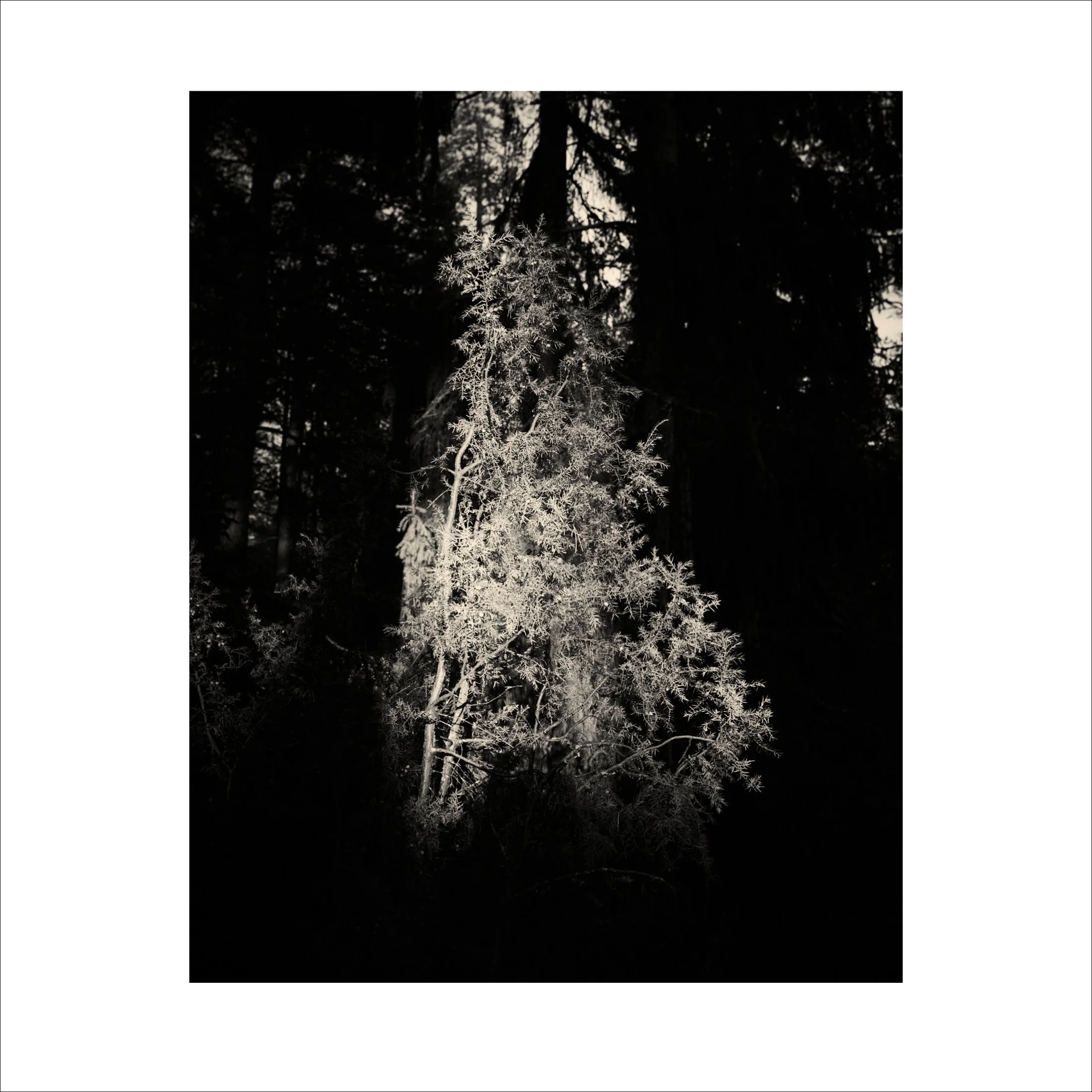 Untitled2_23.jpg
