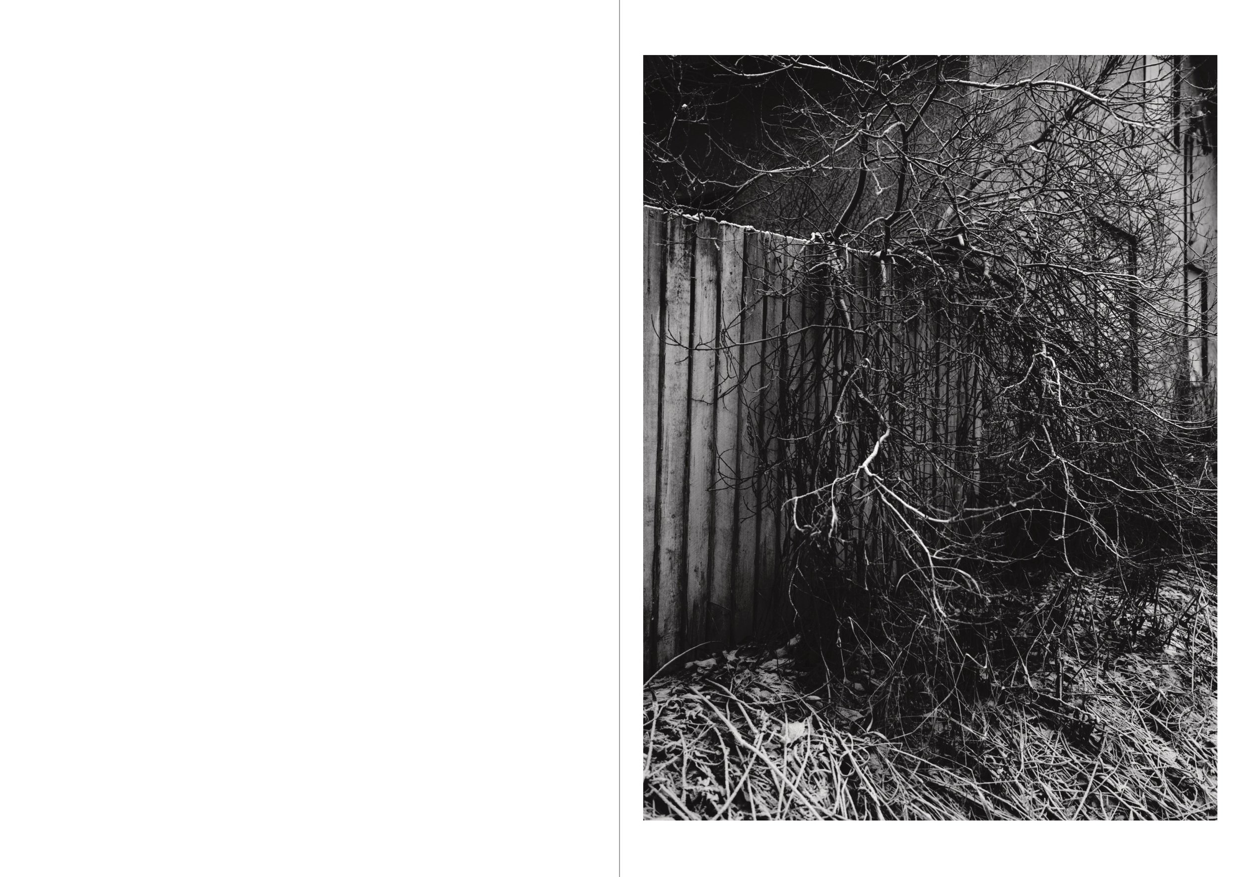 Black-and-white photo of a snow-covered fence and leafless trees at night.