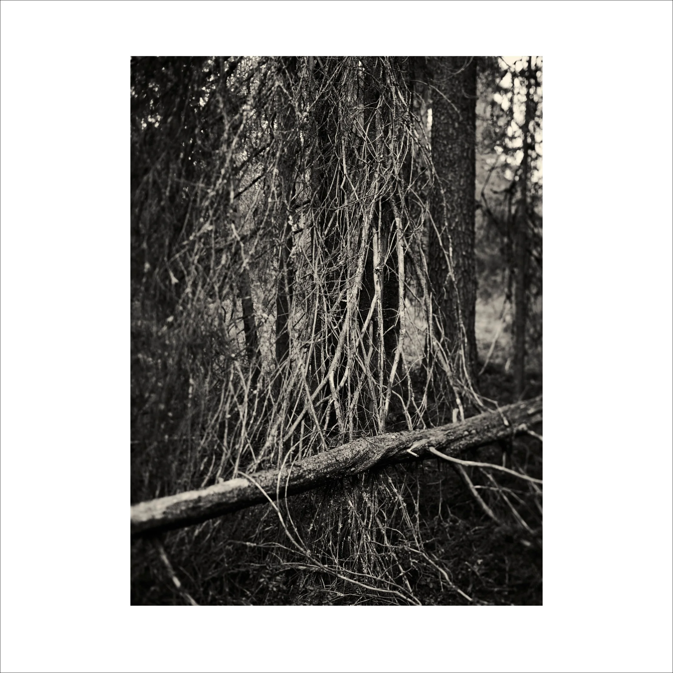 Untitled2_3.jpg