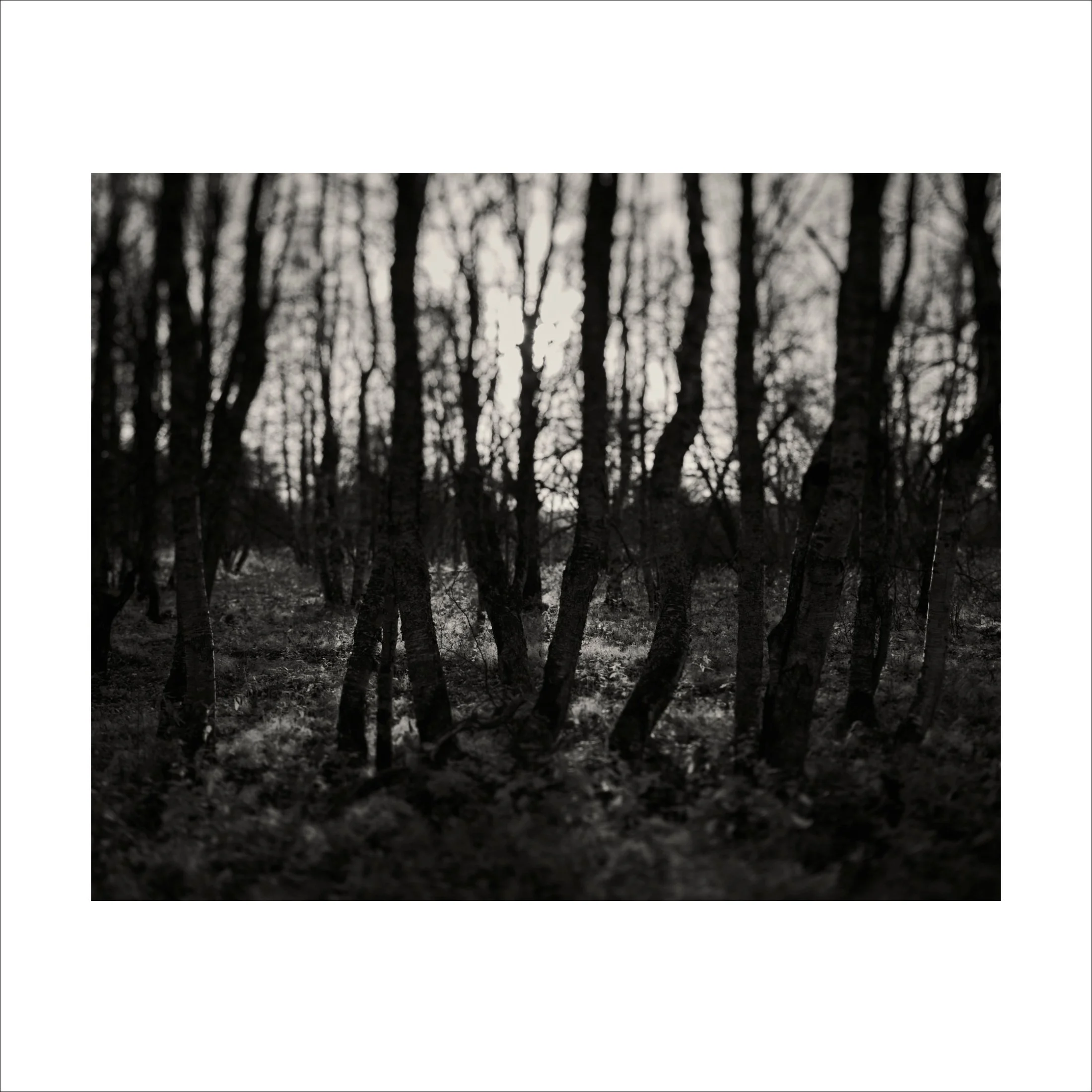 Untitled2_9.jpg