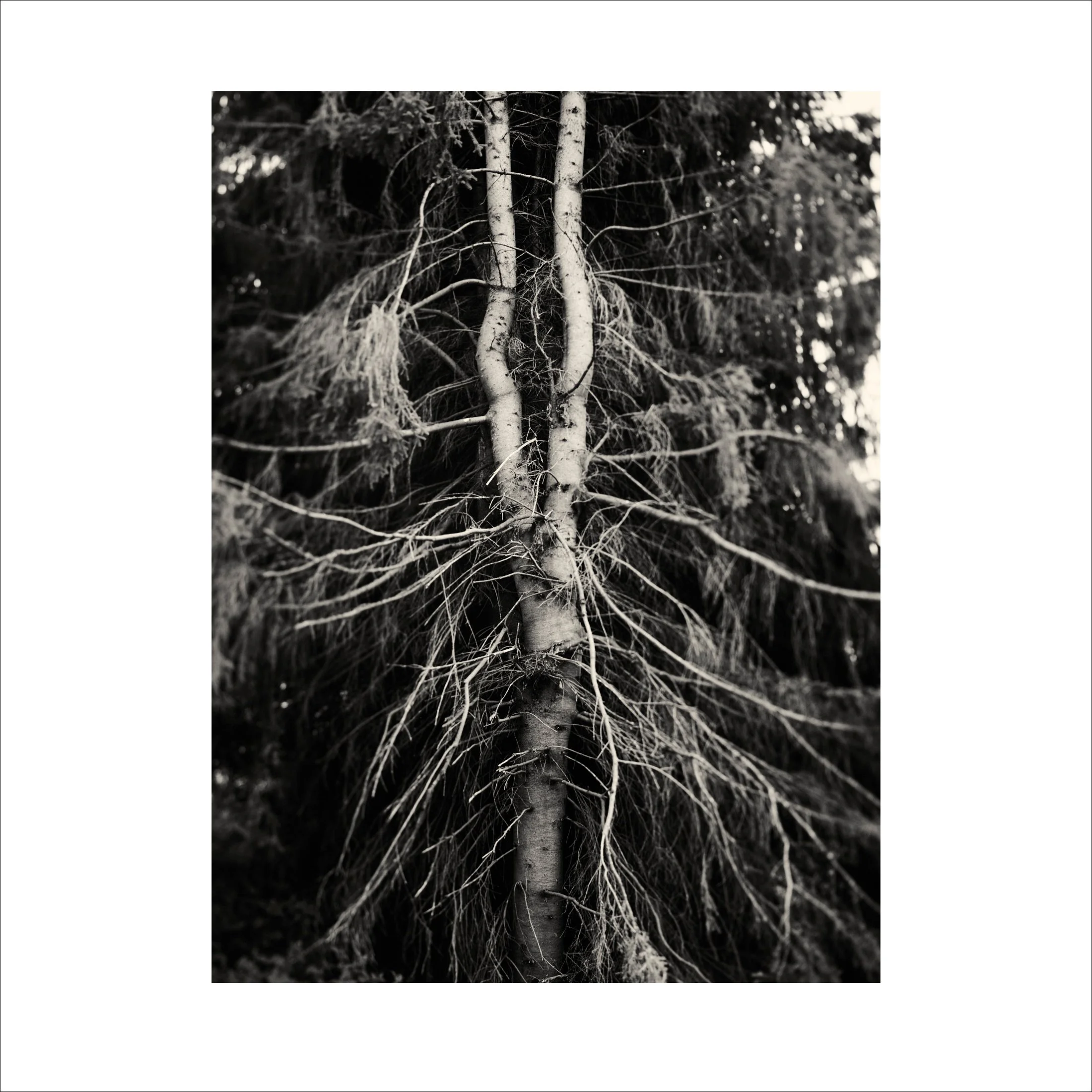 Untitled2_2.jpg