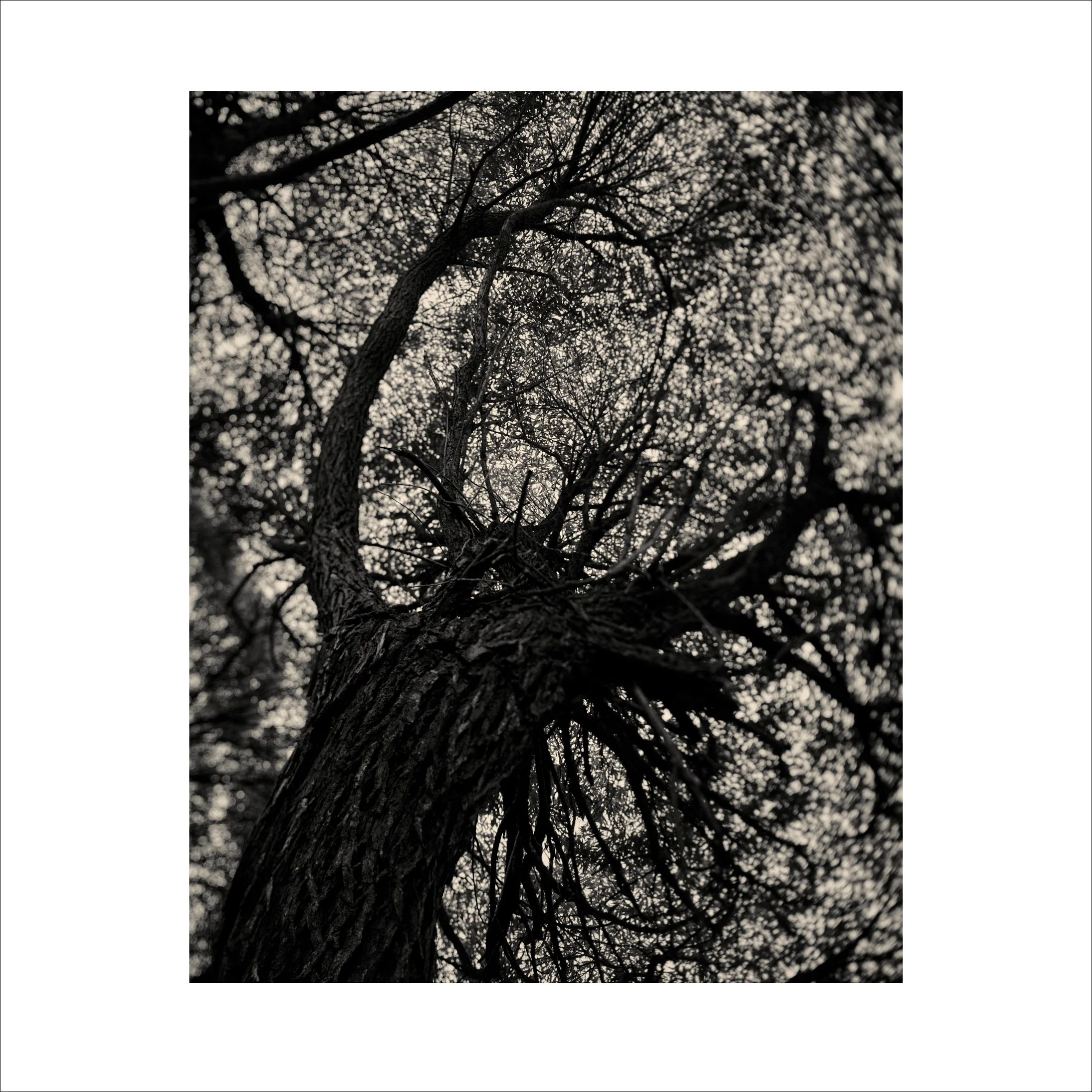 Untitled2_21.jpg