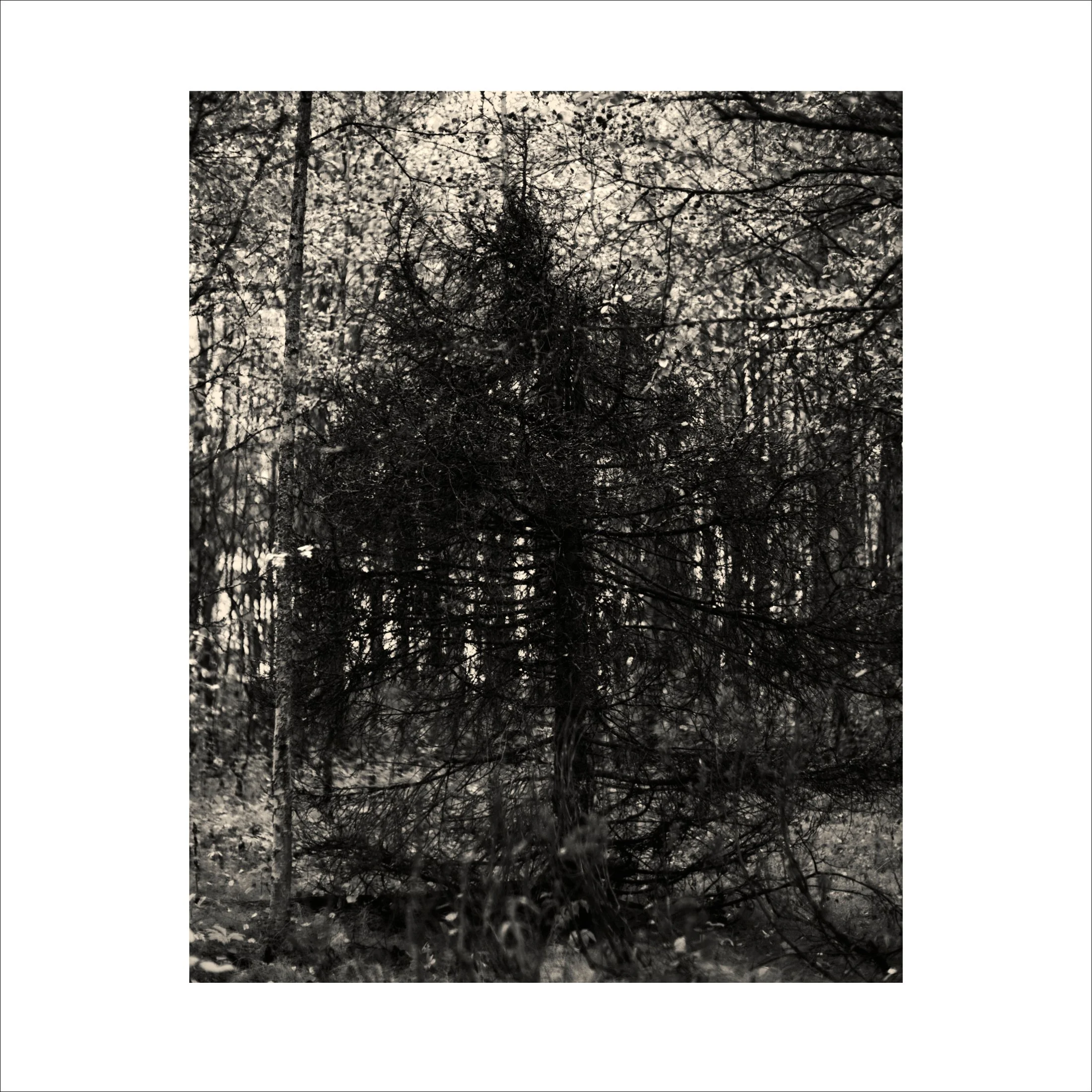 Untitled2_25.jpg